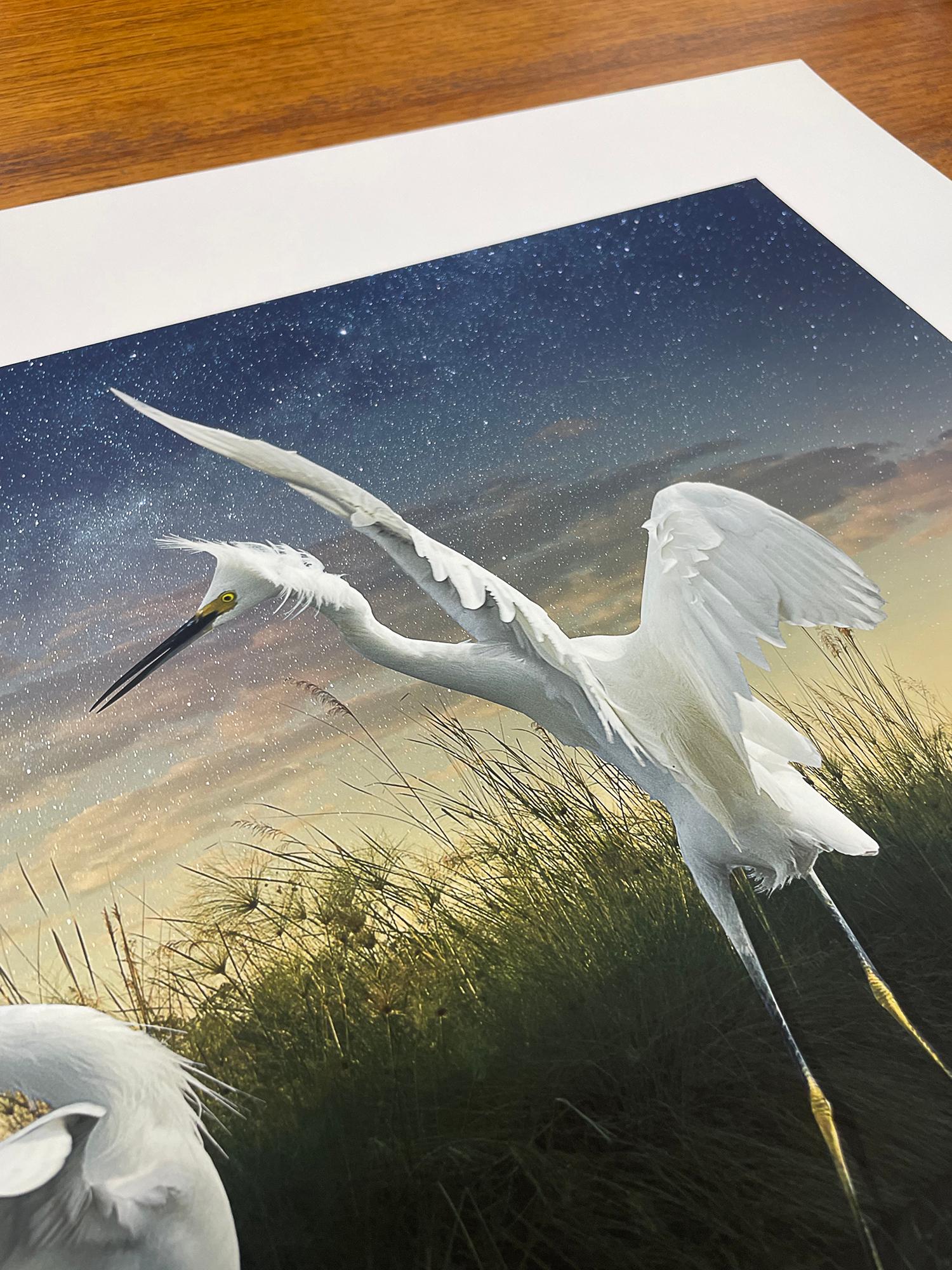 Deux Neiges, Femme Artiste, Oiseaux, Paysage en vente 1