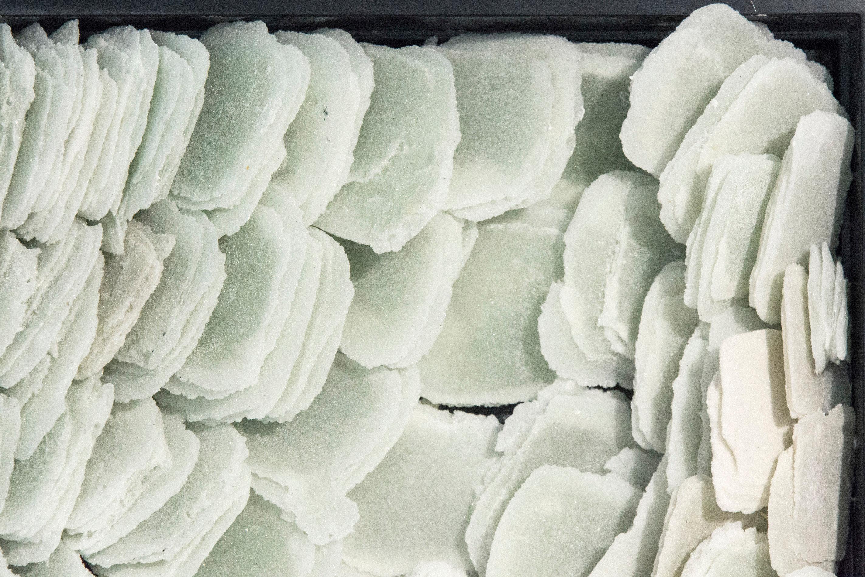 Pétalos en capas de frita de vidrio blanca se componen dentro de un marco lacado negro de la artista Cheryl Wilson Smith. La obra de Wilson Smith se crea formando diminutas partículas de vidrio, conocidas como frita, en piezas finas como el papel a