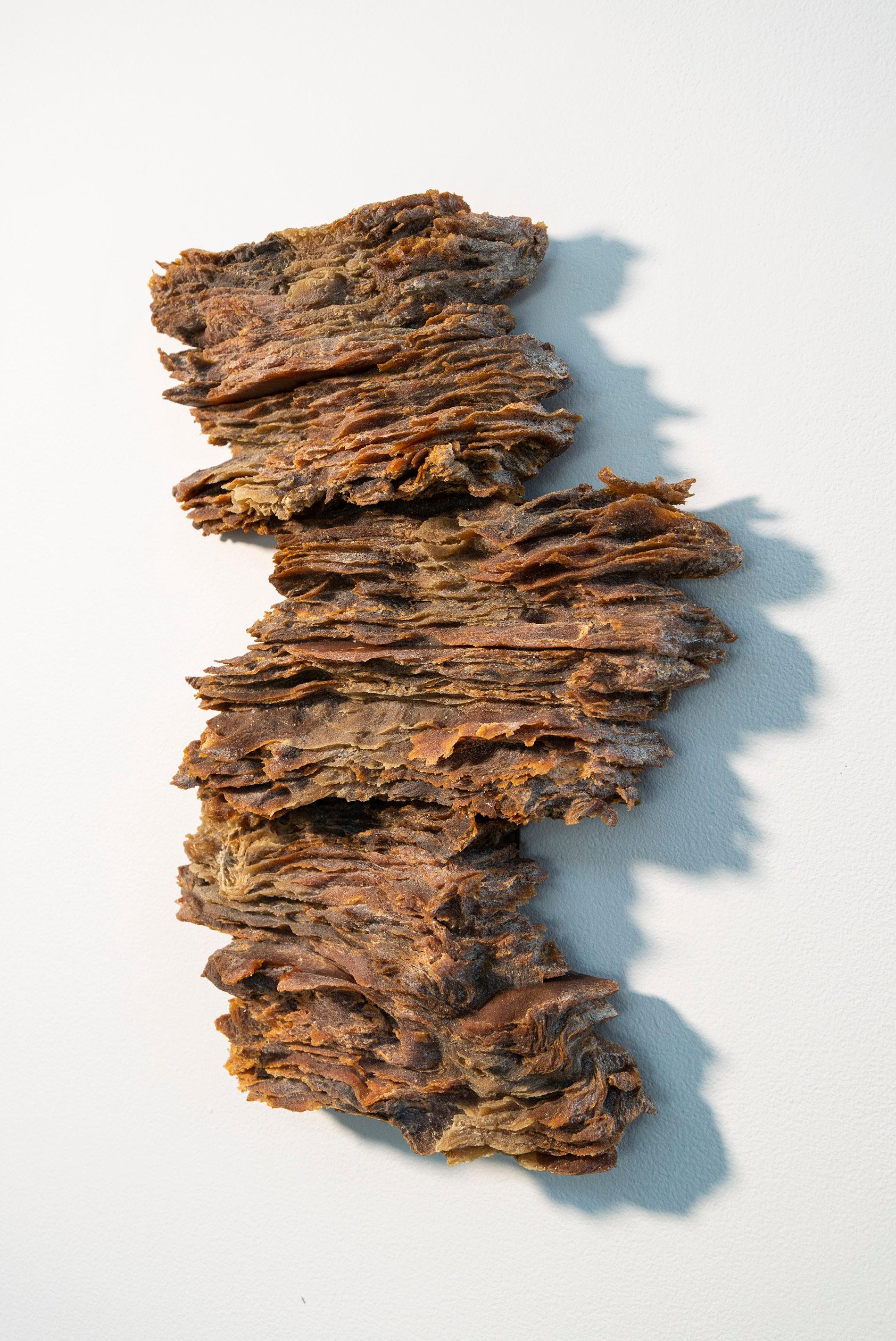 Outcrop No 10 - verre jaune, brun, texturé, stratifié, relief mural sculpté - Sculpture de Cheryl Wilson Smith