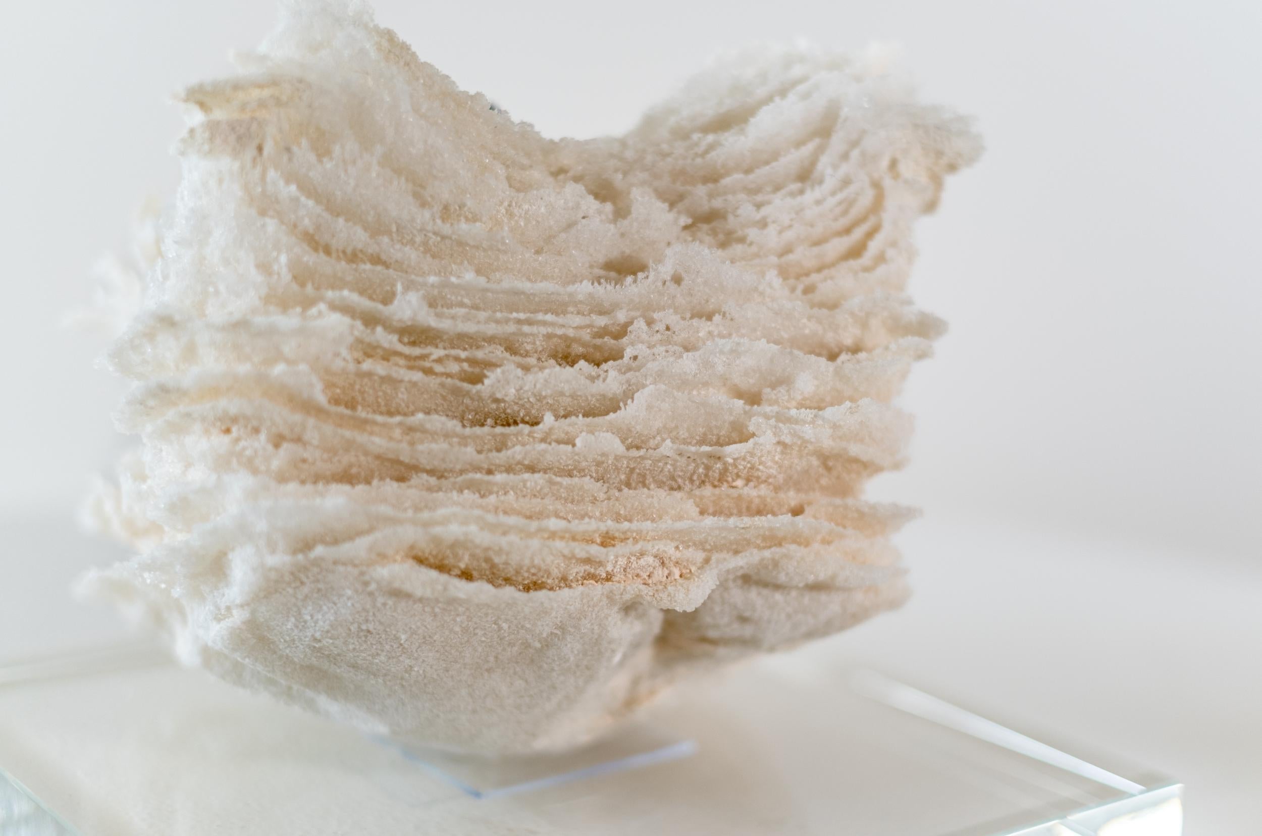 Promises and Lies 8 - zeitgenössische, strukturierte, geschichtete Glasskulptur, Tischplatte 8