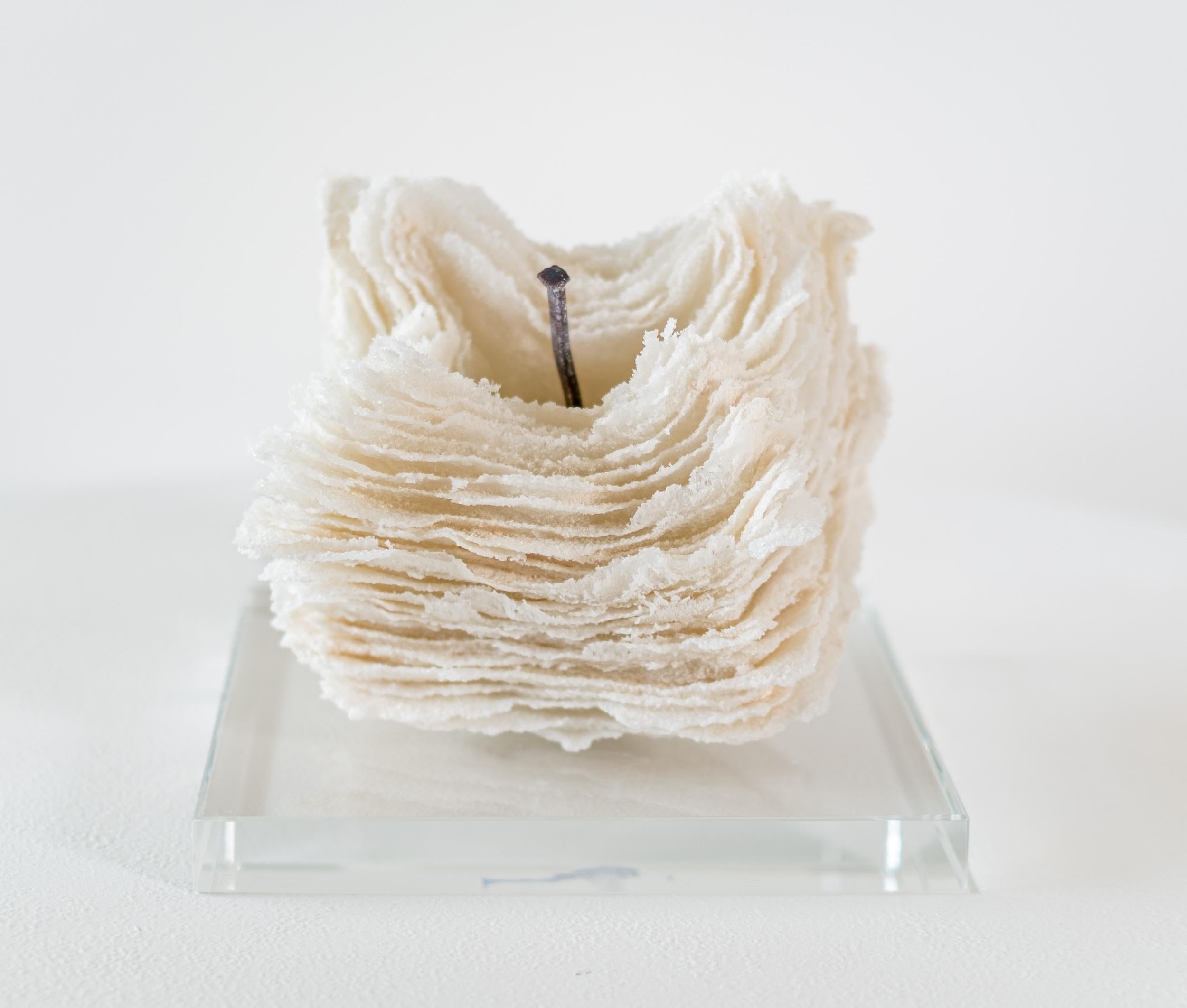 Promises and Lies 8 - zeitgenössische, strukturierte, geschichtete Glasskulptur, Tischplatte (Zeitgenössisch), Sculpture, von Cheryl Wilson Smith