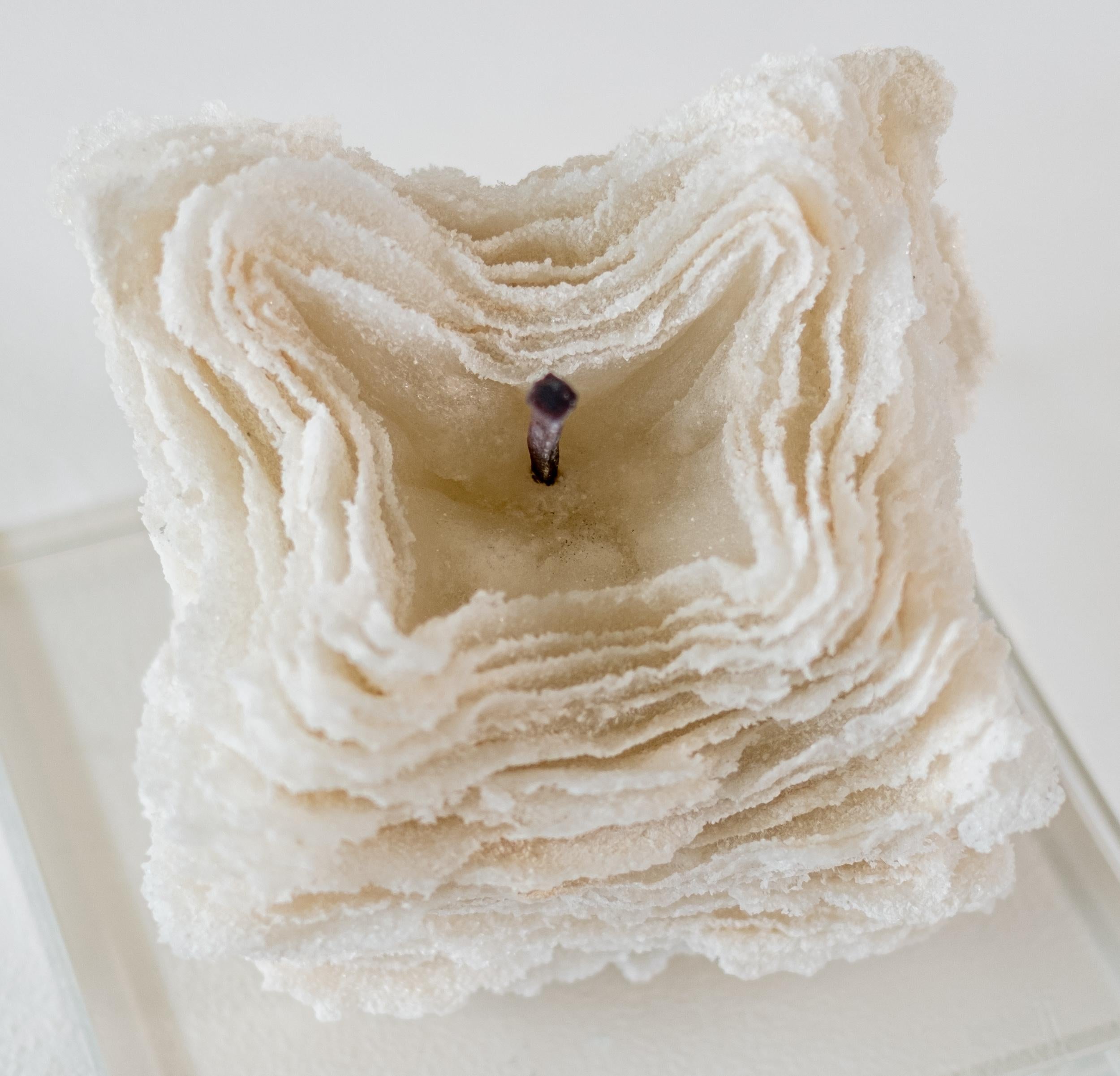 Promises and Lies 8 - zeitgenössische, strukturierte, geschichtete Glasskulptur, Tischplatte 2