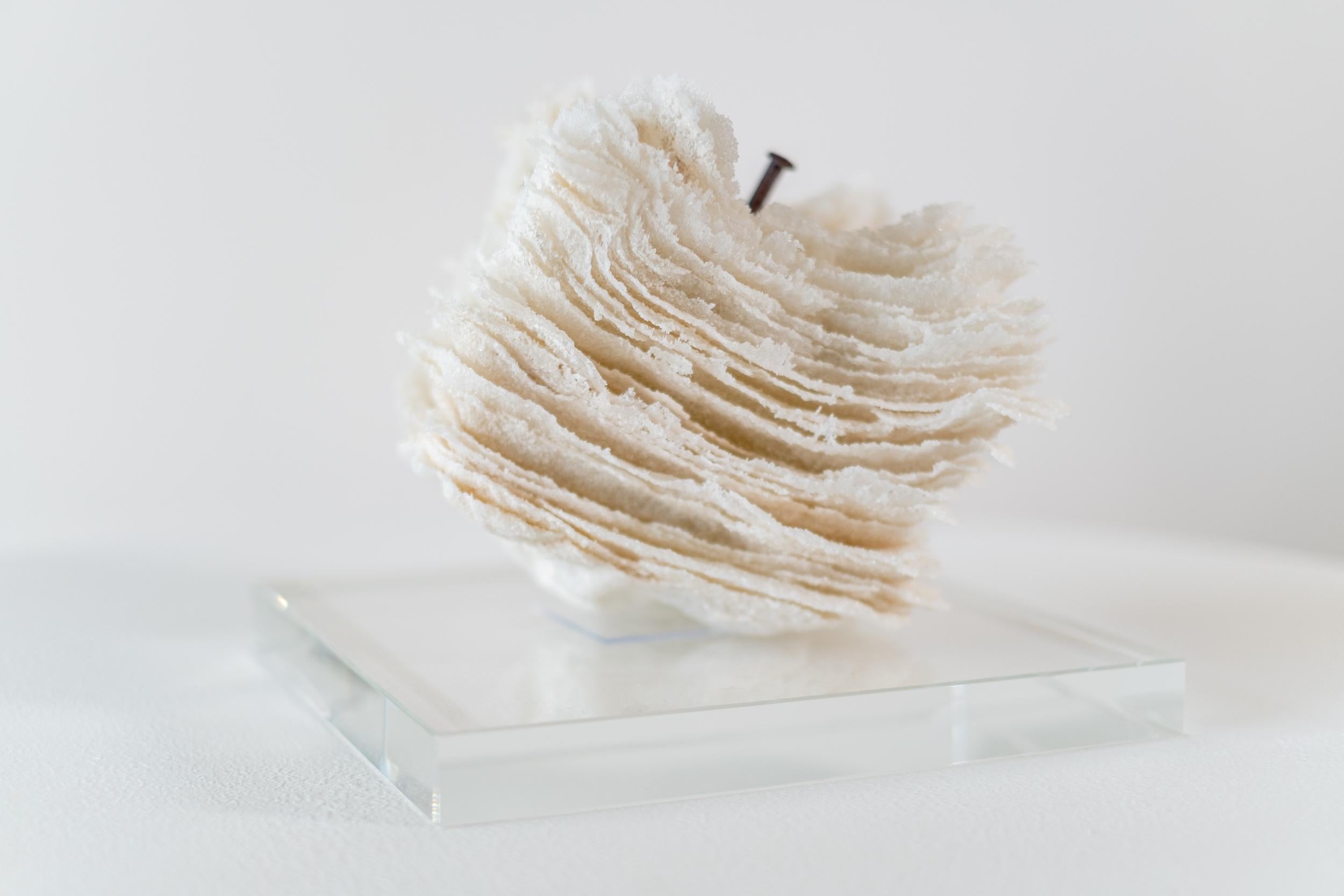 Promises and Lies 8 - zeitgenössische, strukturierte, geschichtete Glasskulptur, Tischplatte 3