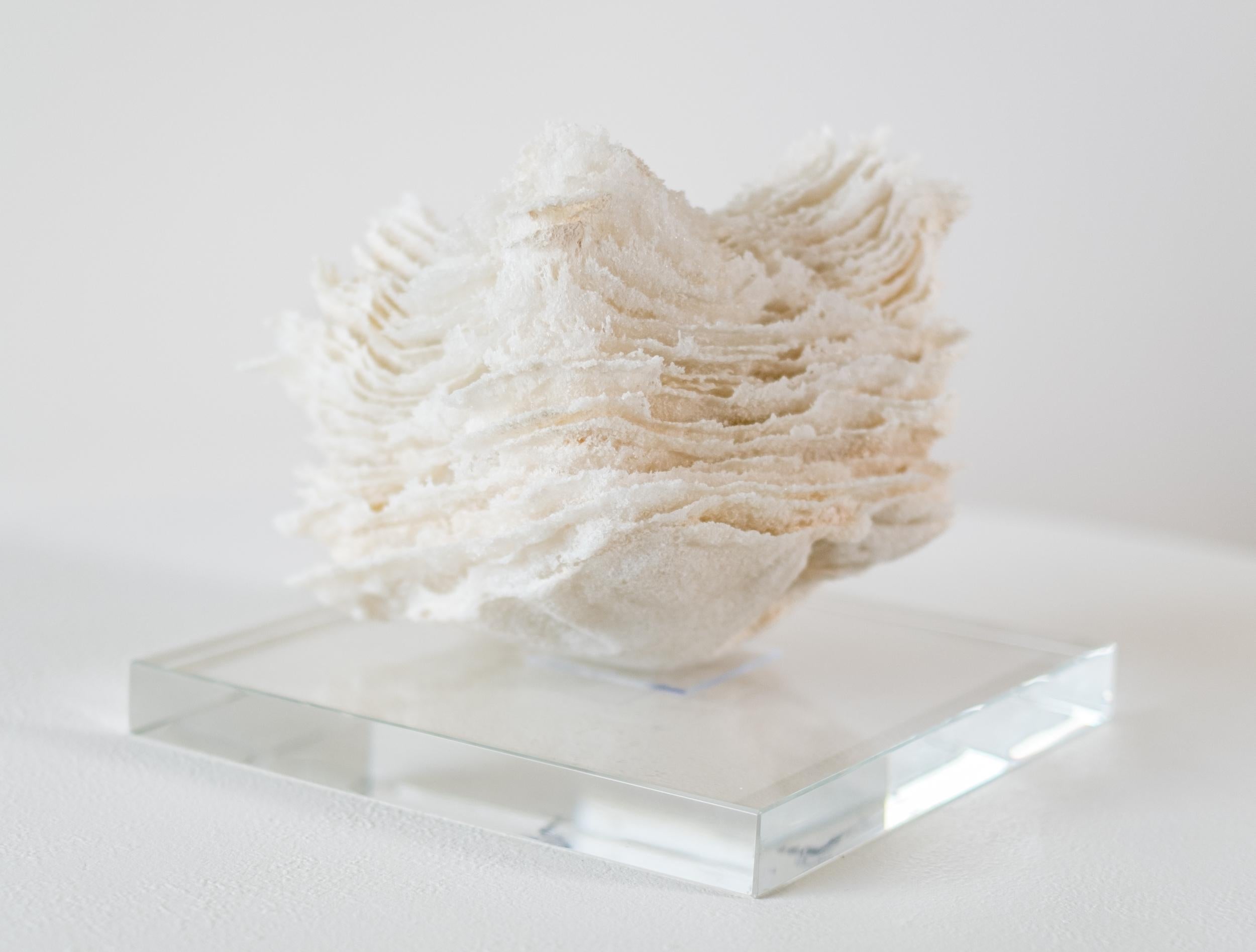 Promises and Lies 8 - zeitgenössische, strukturierte, geschichtete Glasskulptur, Tischplatte 4