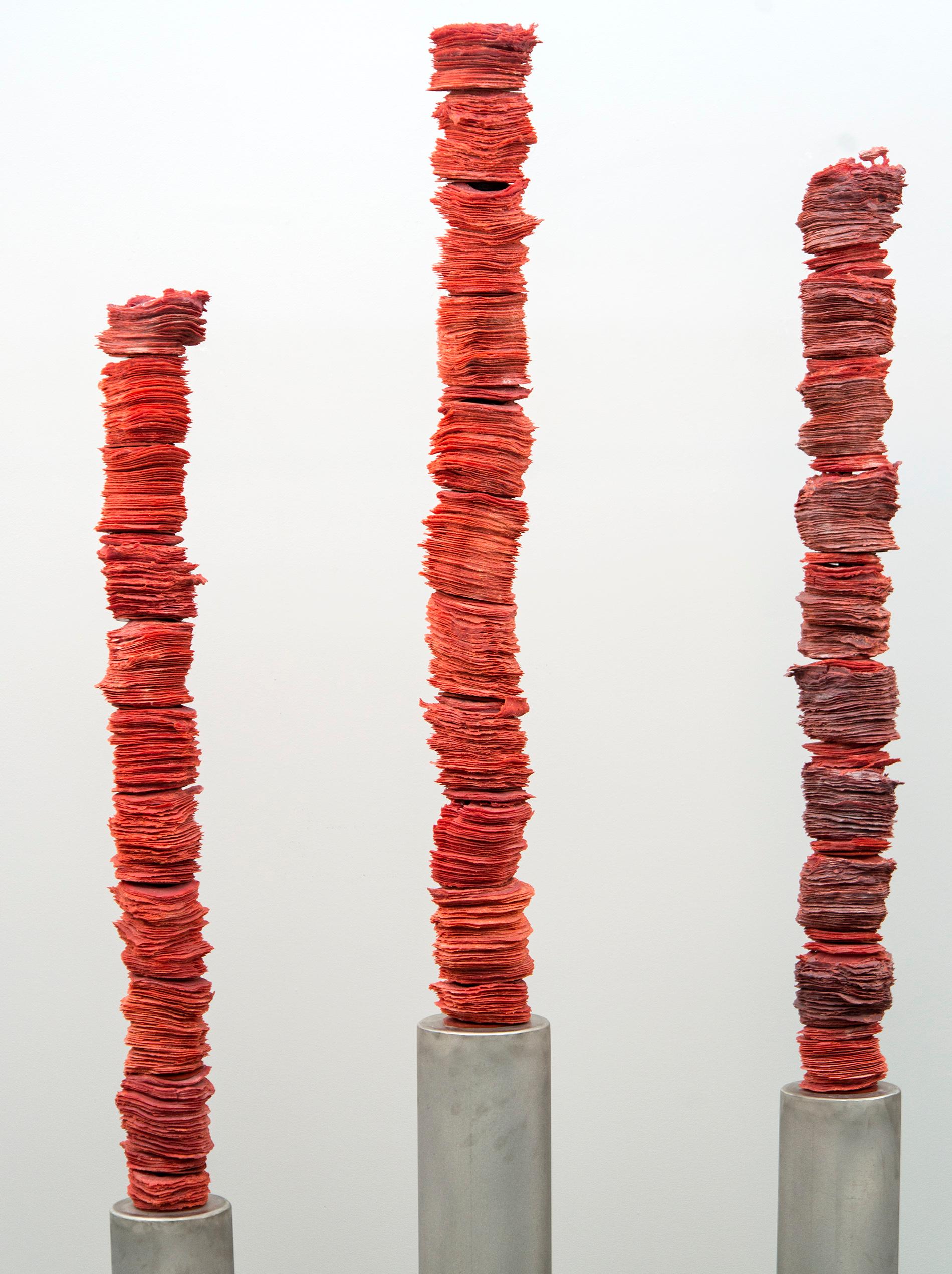 Papierdünne Schichten aus tiefroter Glasfritte (spezielles gemahlenes Glas) werden in diesen auffälligen Säulen der kanadischen Künstlerin Cheryl Wilson-Smith sorgfältig aufeinander geschichtet und verschmolzen.

Die Abmessungen jeder Säule sind