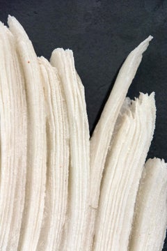 Whiting - sculpture murale en verre texturé, blanc, moderniste, stratifié, contemporain