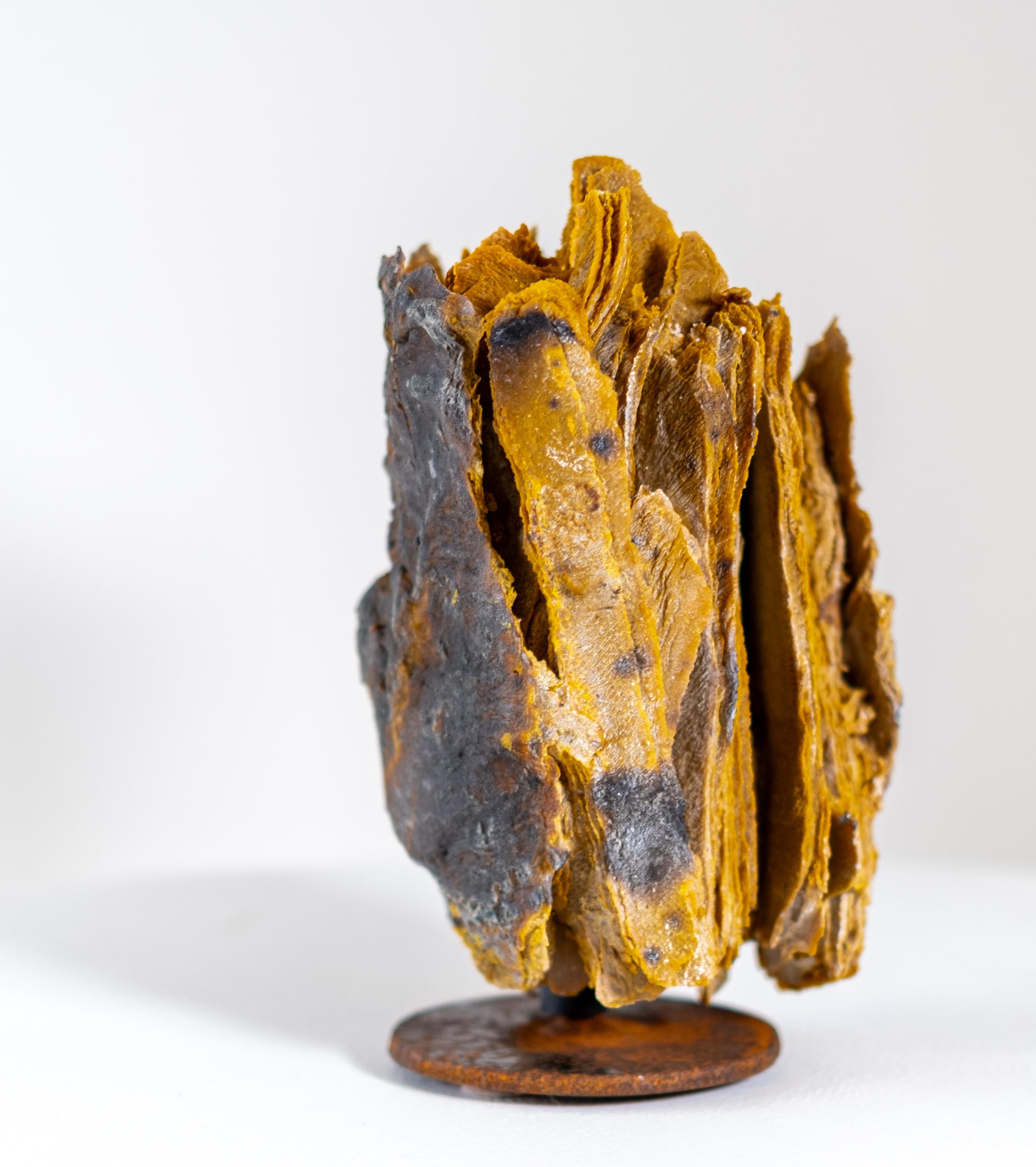 Esta escultura contemporánea de vidrio inspirada en la naturaleza está diseñada como pieza de sobremesa.
 
El uso magistral de capas fundidas de frita de vidrio en la obra de Cheryl Wilson Smith ha proporcionado a la artista canadiense atención