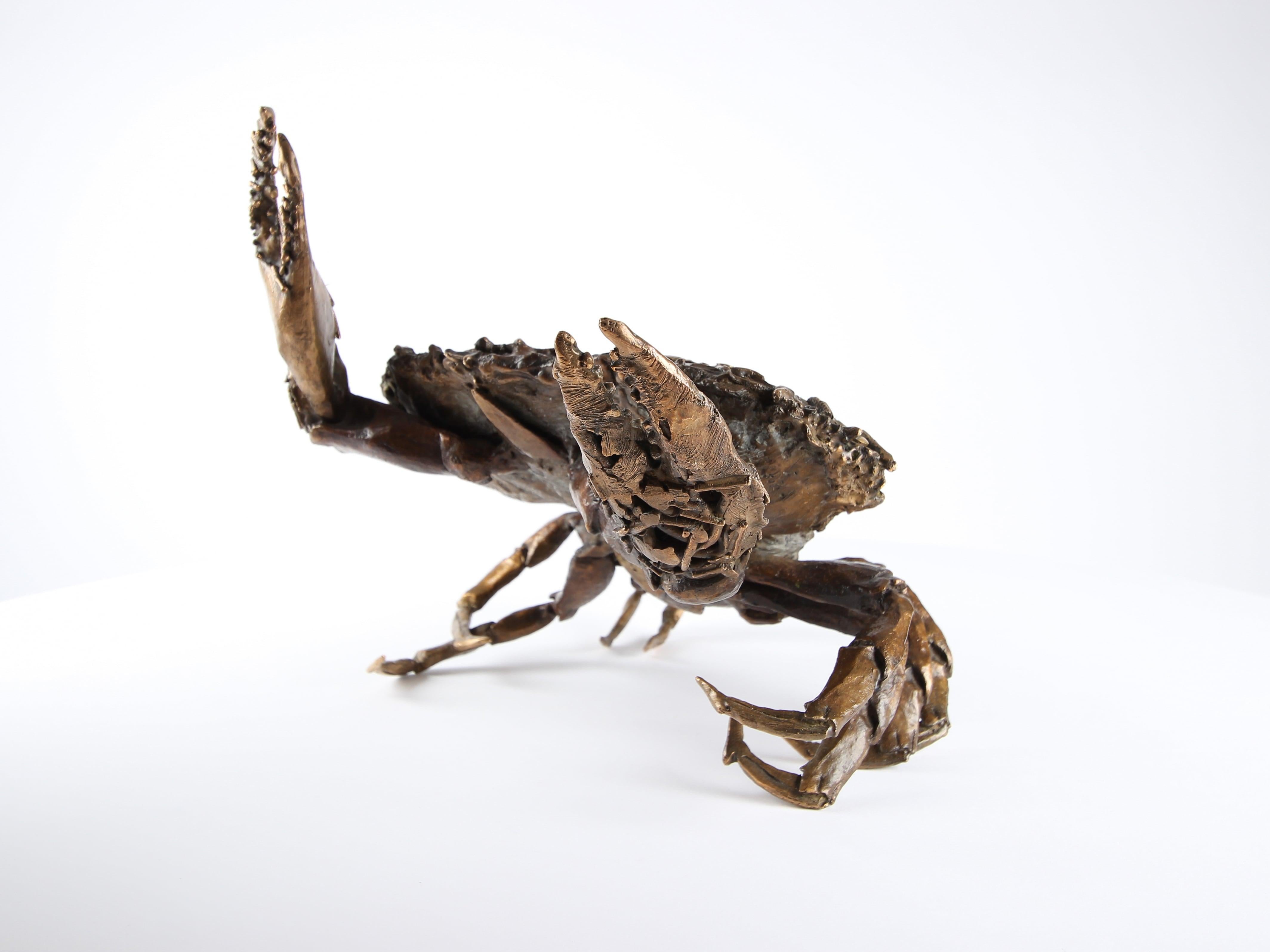 Crabe se battant par Chésade - Sculpture en bronze de la vie marine, art animalier, réaliste en vente 3