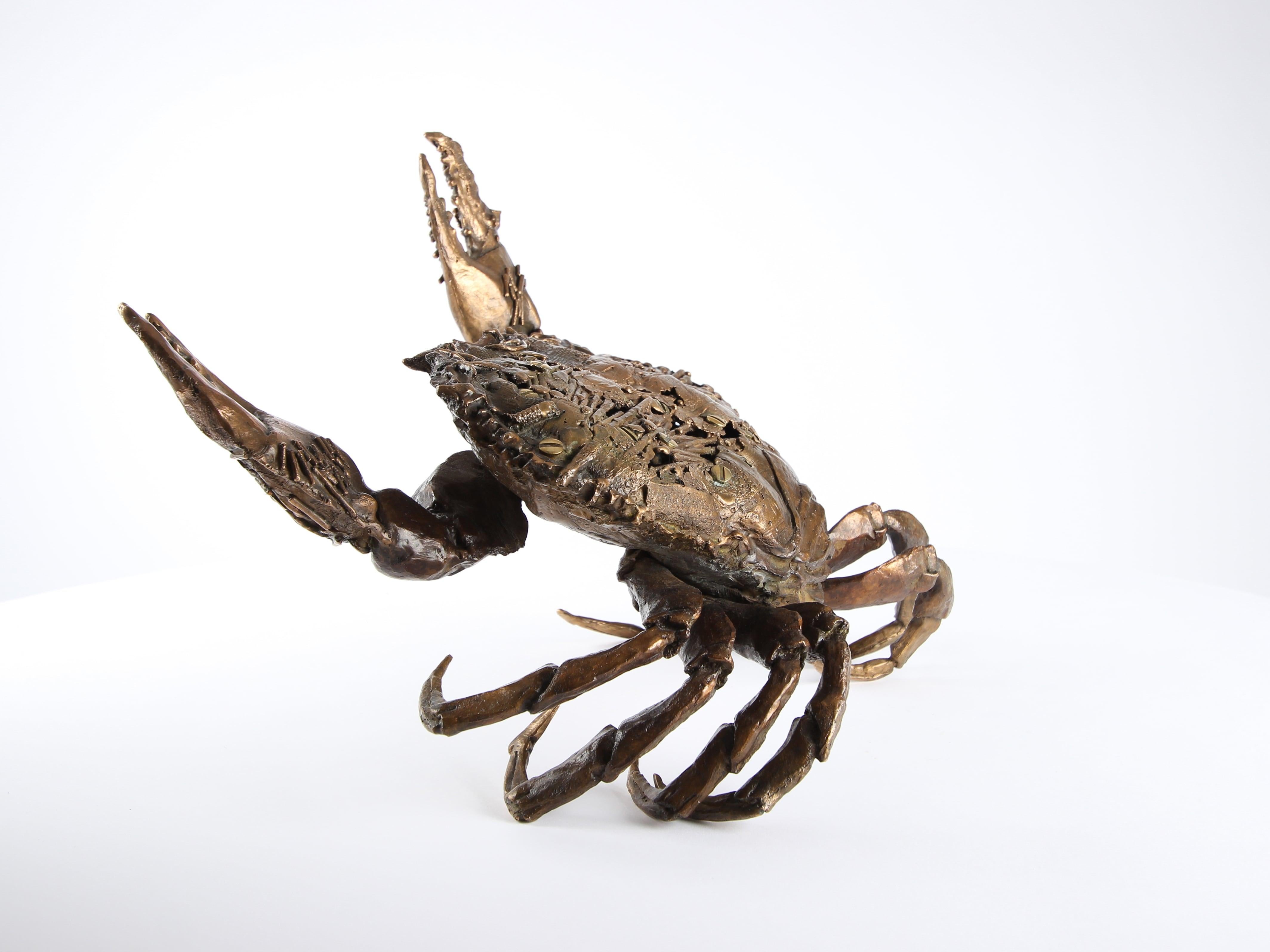 Crab Fighting by Chésade - Bronze sealife sculpture, animal art, realistic For Sale 4