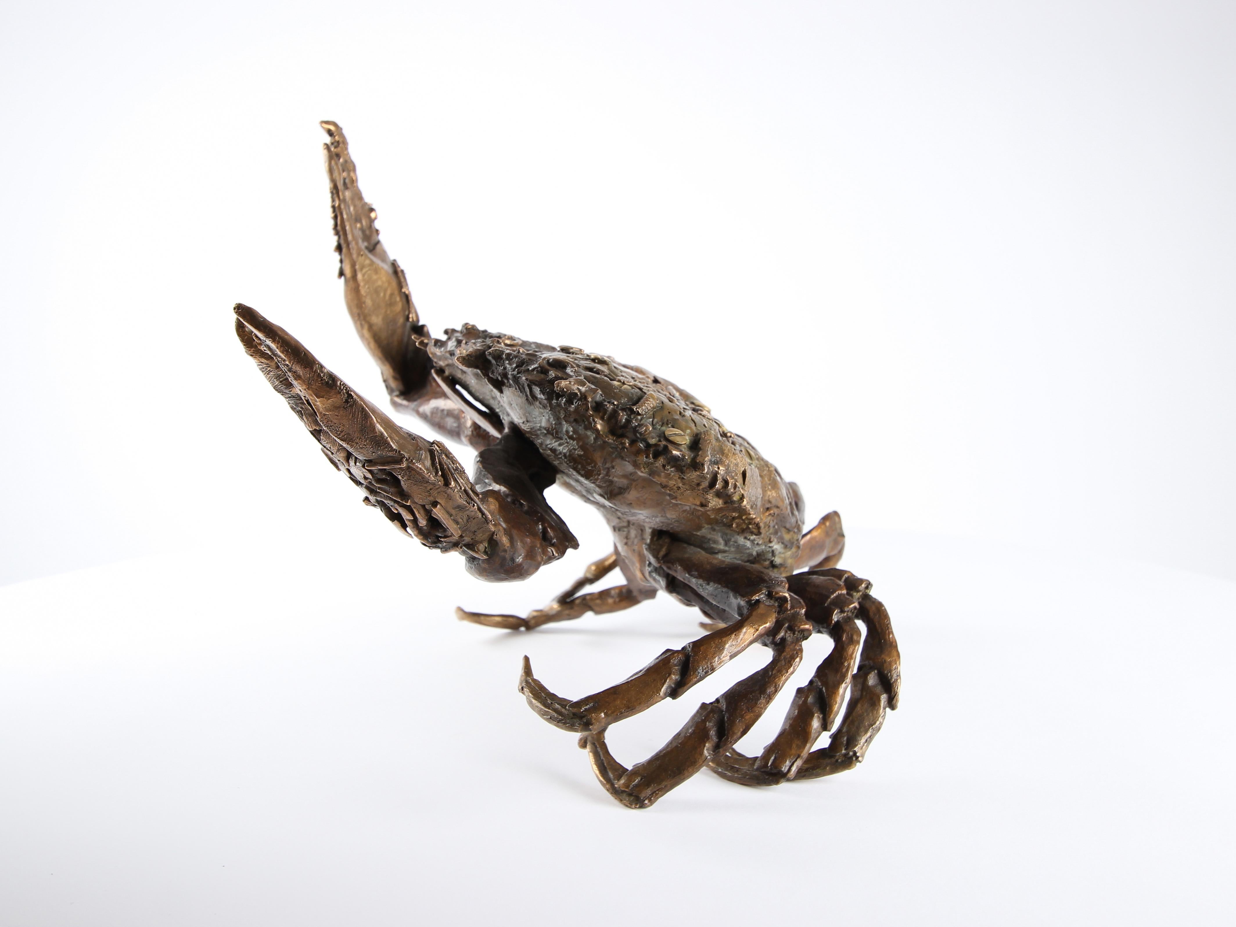 Crabe se battant par Chésade - Sculpture en bronze de la vie marine, art animalier, réaliste en vente 5