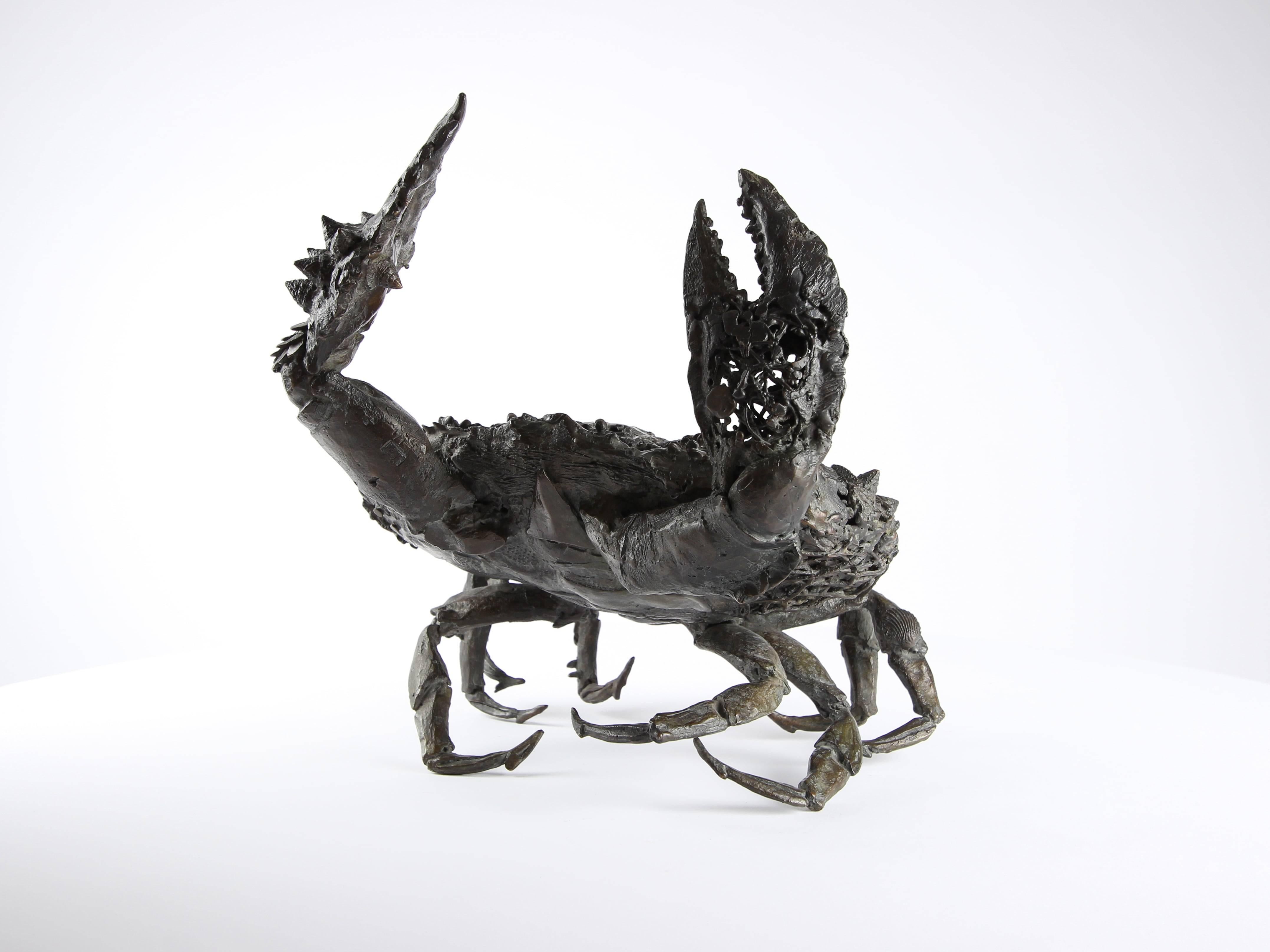 Crabe aux pattelas par Chésade - Sculpture en bronze de la vie marine, art animalier, crabe en vente 2