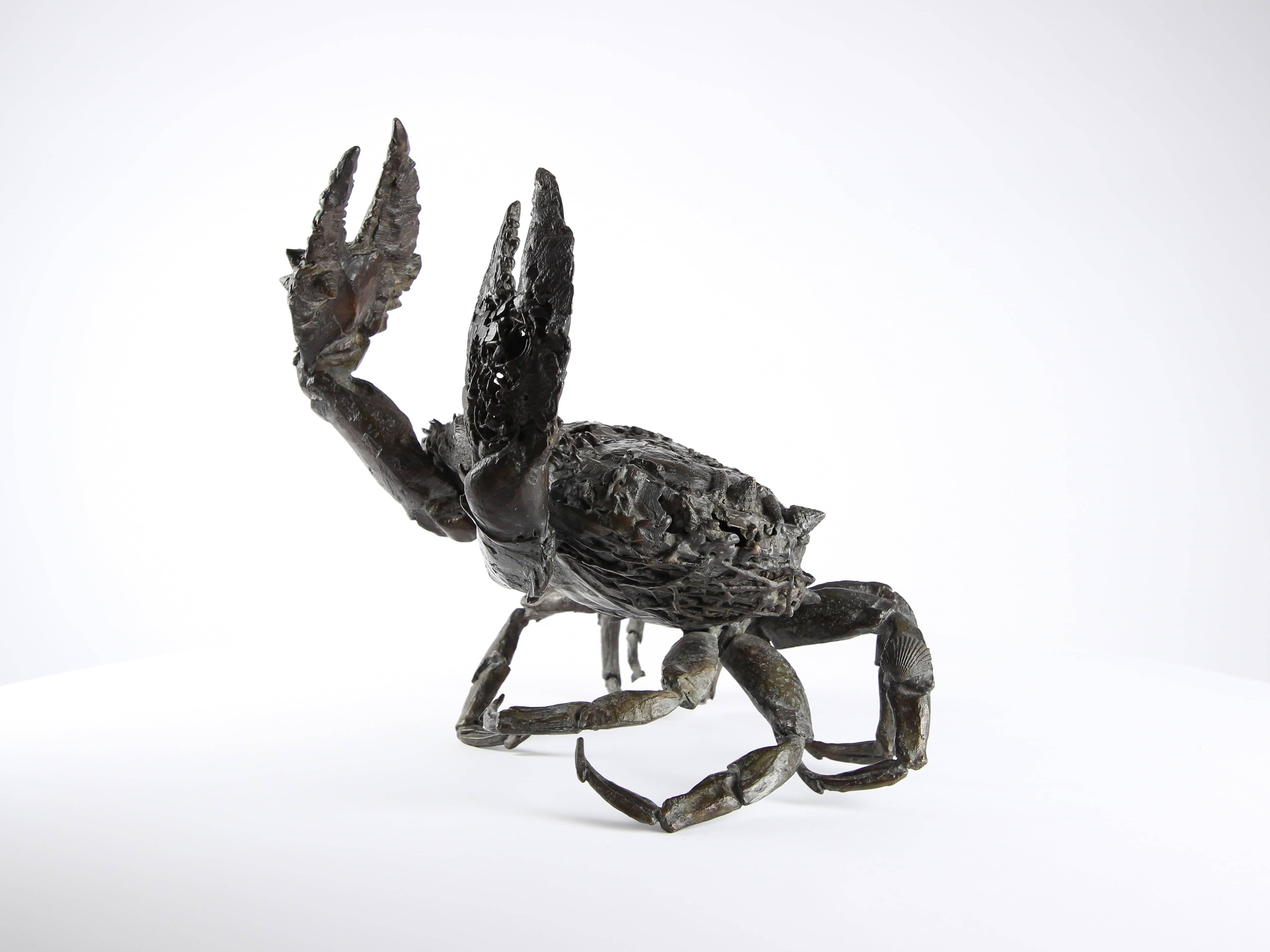 Crabe aux pattelas par Chésade - Sculpture en bronze de la vie marine, art animalier, crabe en vente 3