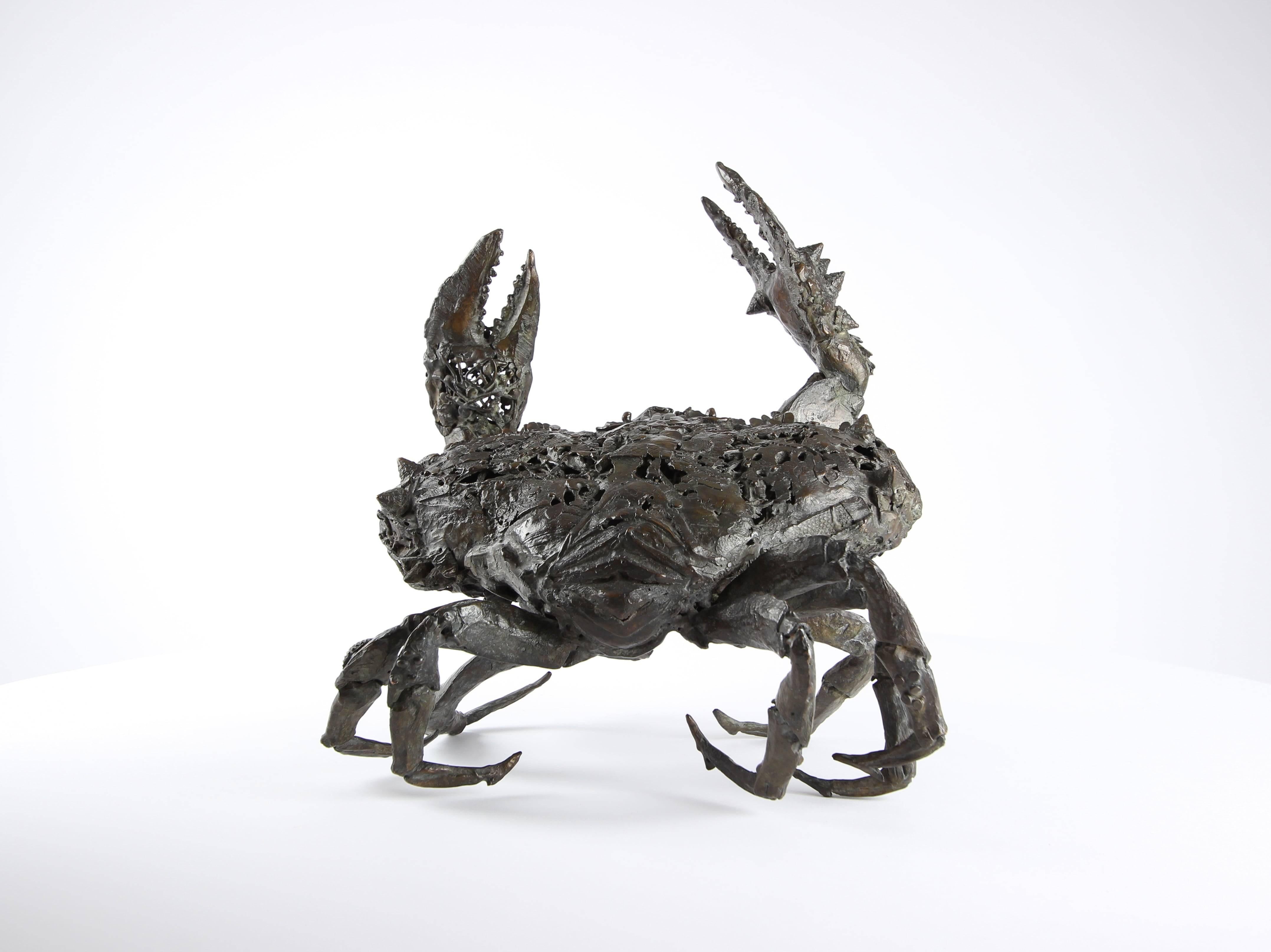 Crabe aux pattelas par Chésade - Sculpture en bronze de la vie marine, art animalier, crabe en vente 5
