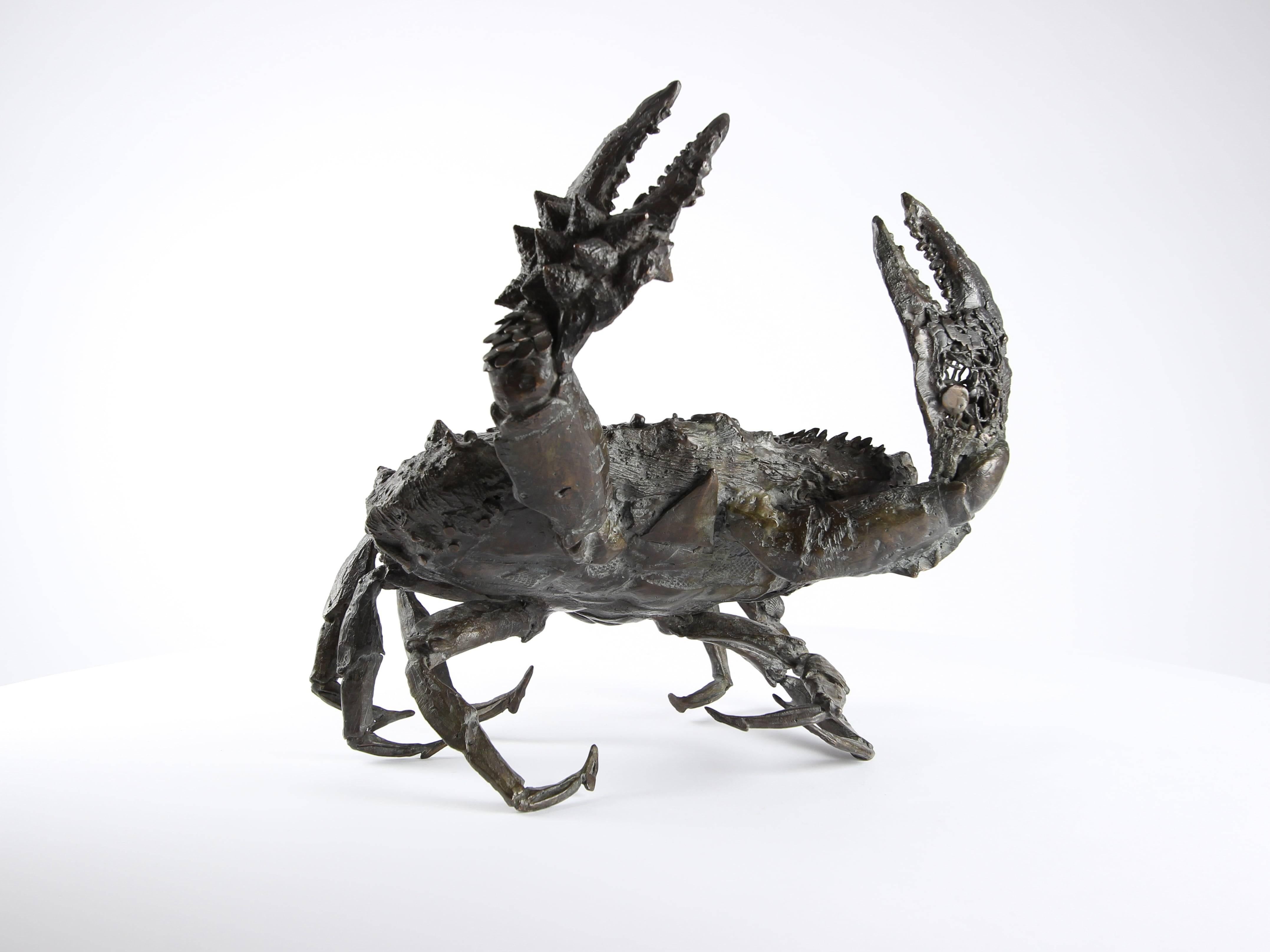 Crabe aux pattelas par Chésade - Sculpture en bronze de la vie marine, art animalier, crabe