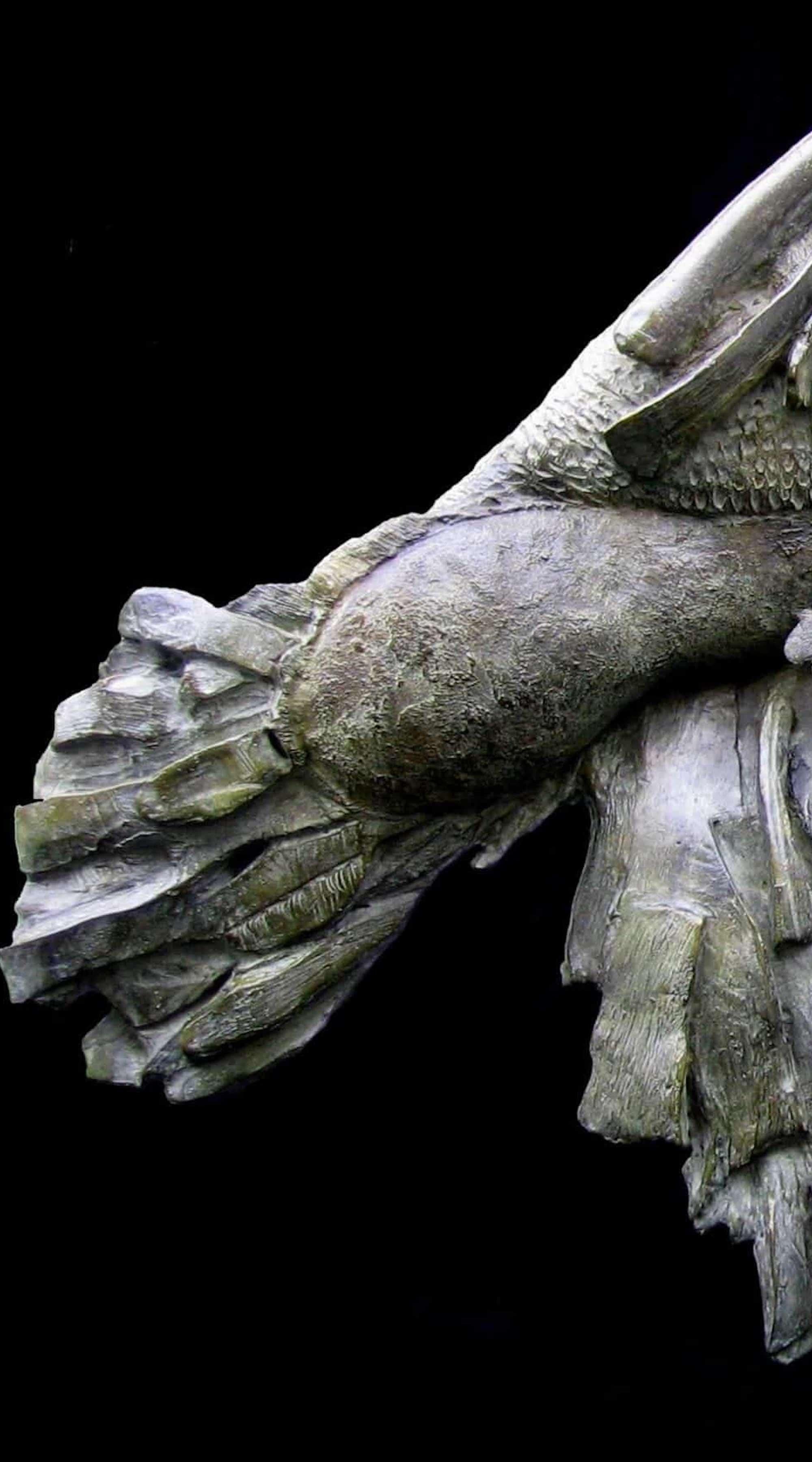 Envol by Chésade - Unique bronze sculpture, animal art, barnacle, flying bird For Sale 4