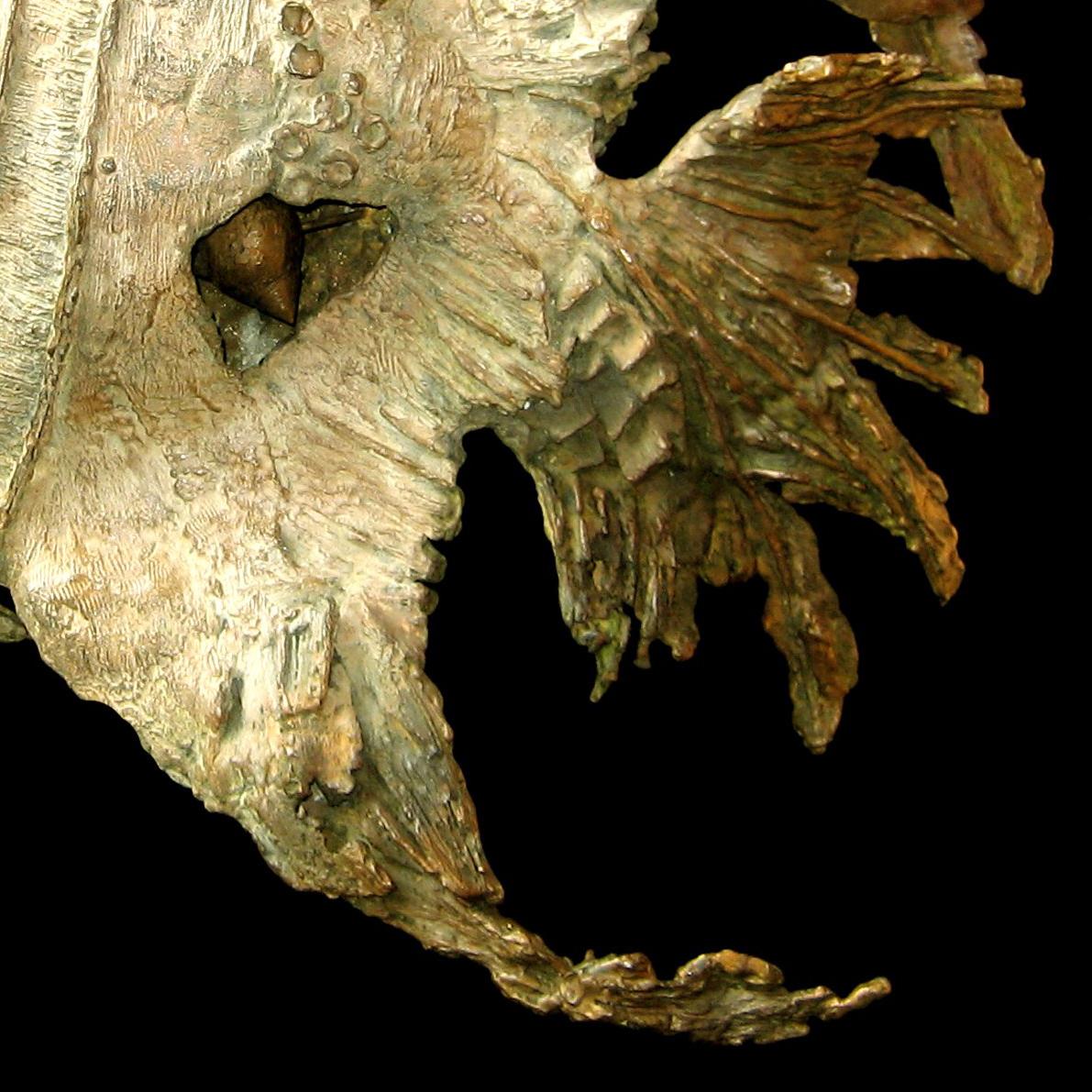 Exotic fish with shell by Chésade - Bronze sculpture, animal art, sealife en vente 2
