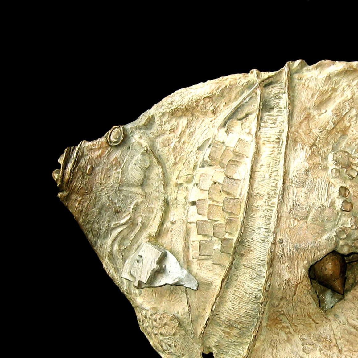Exotischer Fisch mit Muschel von Chésade - Bronzeskulptur, Tierkunst, Meerestiere im Angebot 3