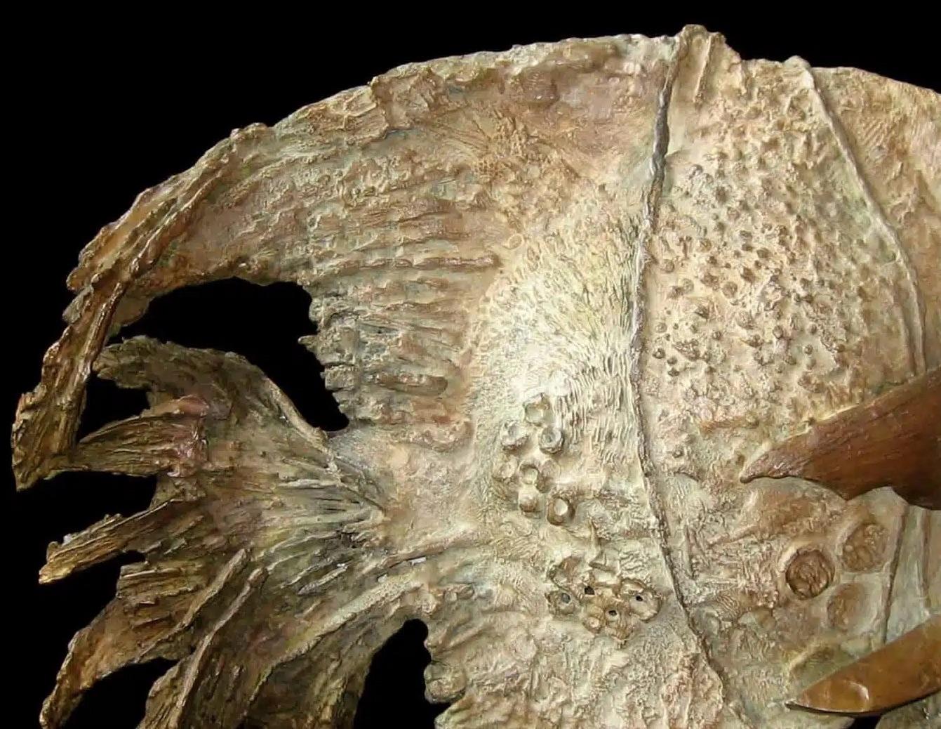 Exotischer Fisch mit Muschel von Chésade - Bronzeskulptur, Tierkunst, Meerestiere im Angebot 6