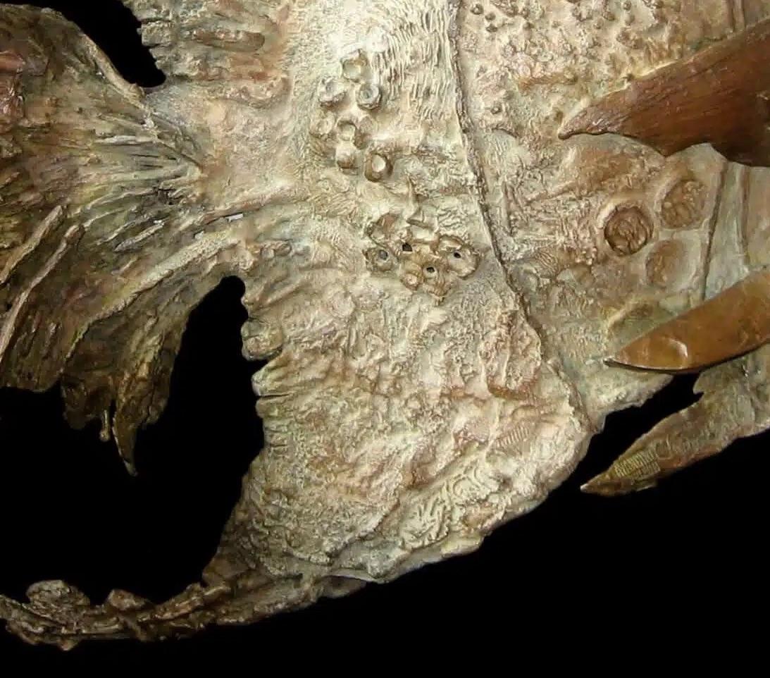 Exotischer Fisch mit Muschel von Chésade - Bronzeskulptur, Tierkunst, Meerestiere im Angebot 7