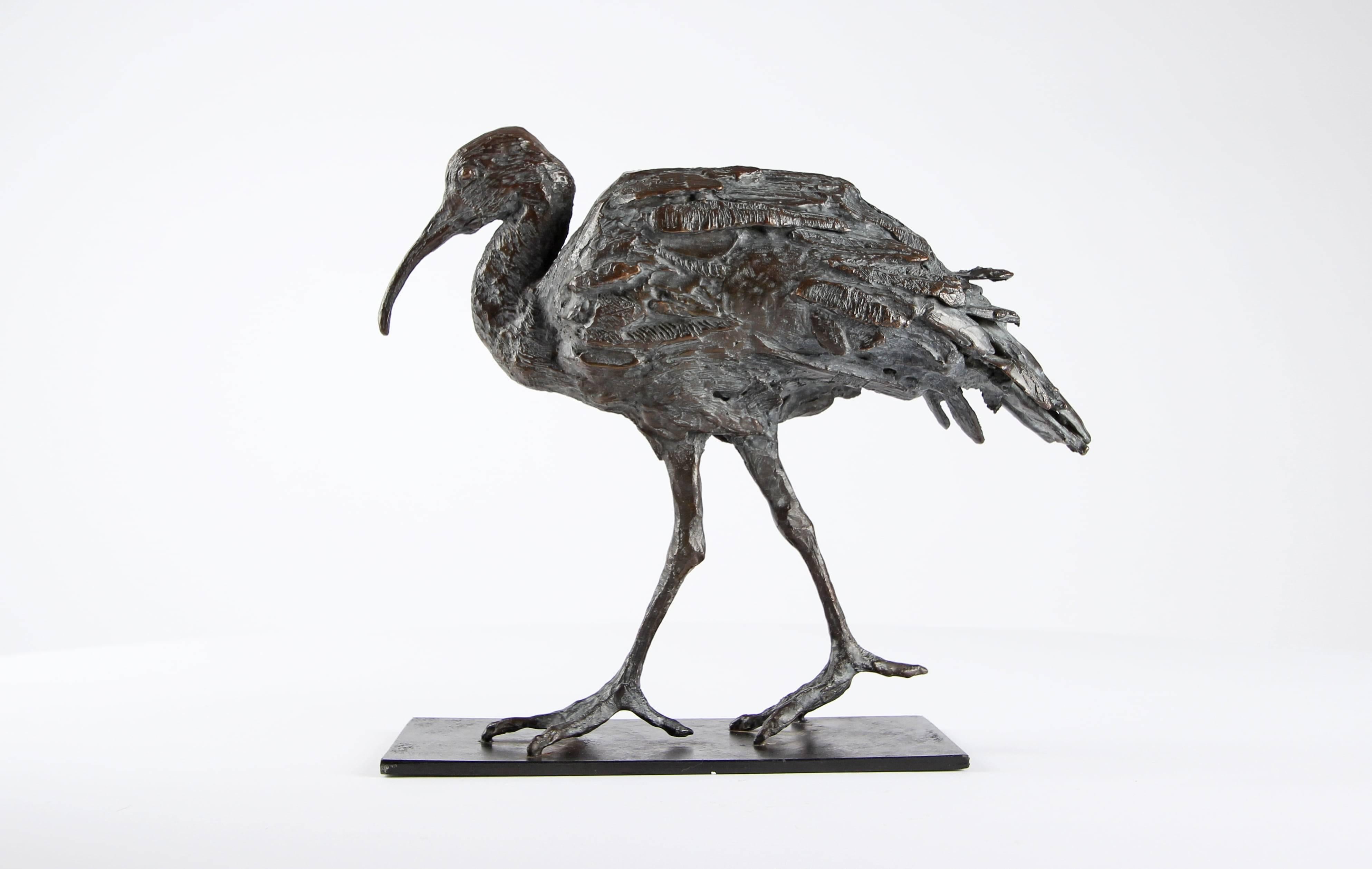 Ibis di Chésade - Scultura in bronzo di un uccello, animale, trampoliere marino in vendita 3