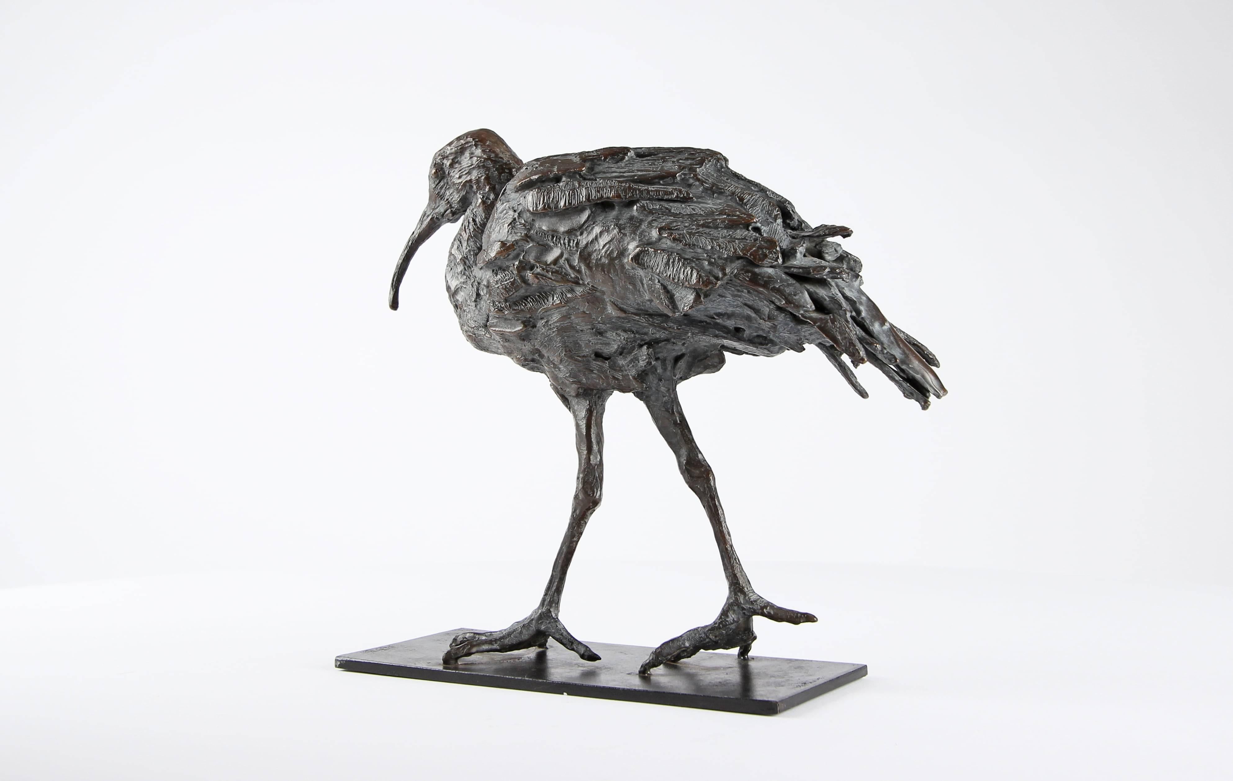 Ibis di Chésade - Scultura in bronzo di un uccello, animale, trampoliere marino in vendita 4