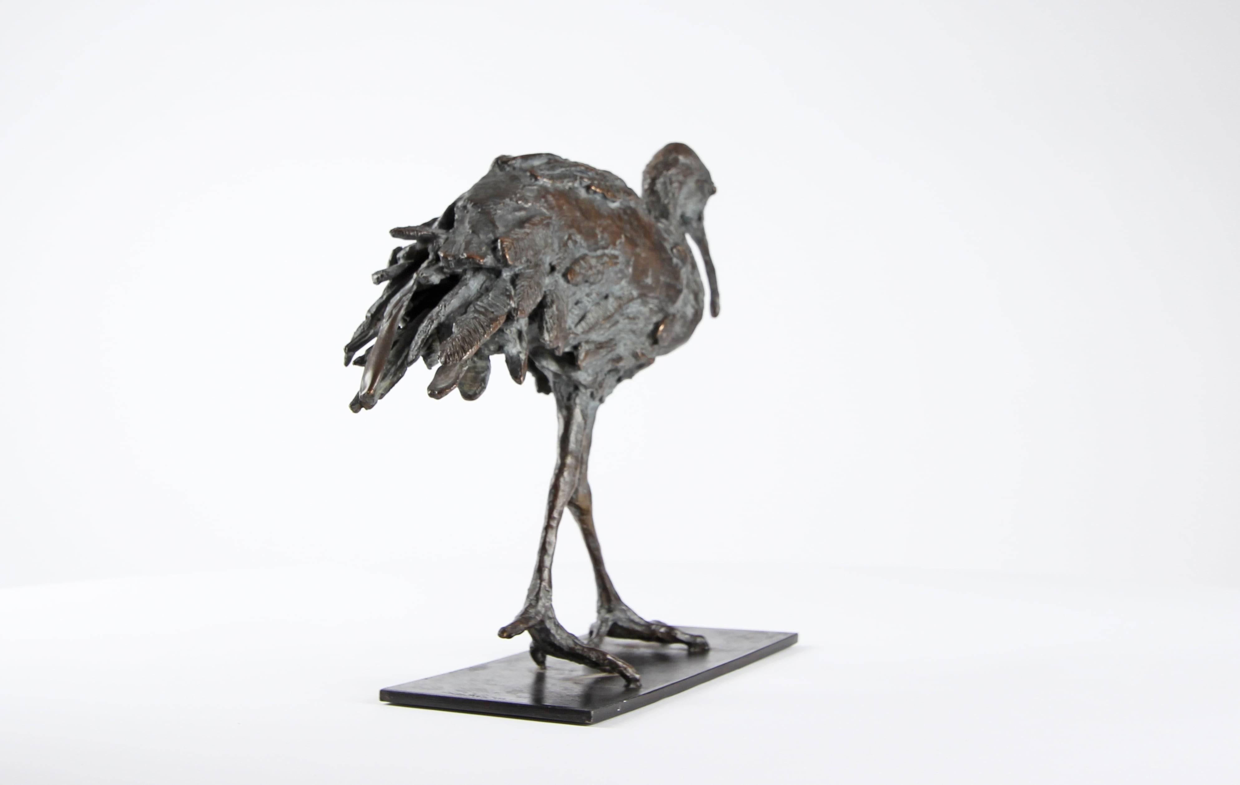 Ibis di Chésade - Scultura in bronzo di un uccello, animale, trampoliere marino in vendita 5