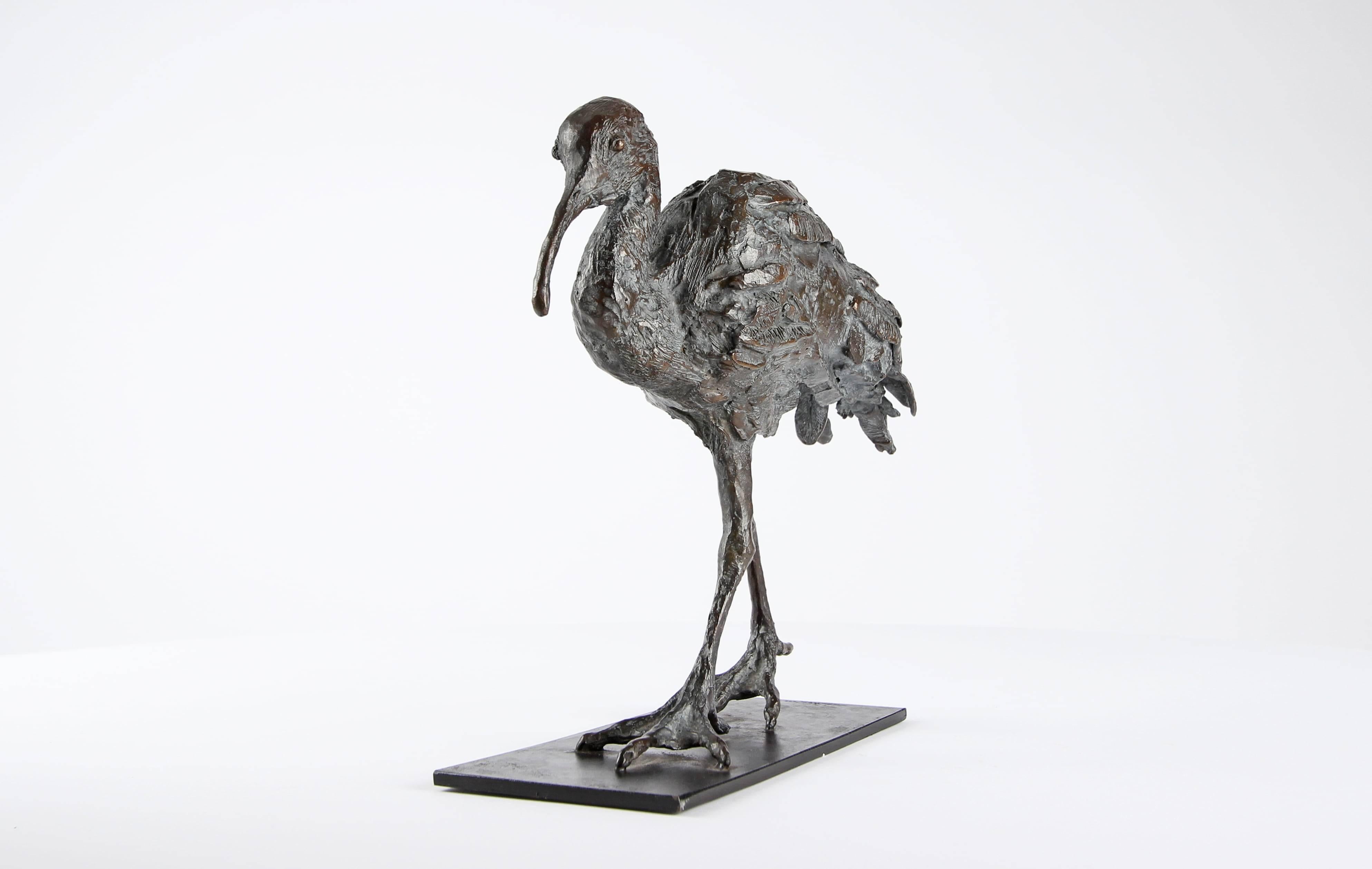 Ibis par Chésade - Sculpture en bronze d'un oiseau, contemporain, animal, échassier en vente 2