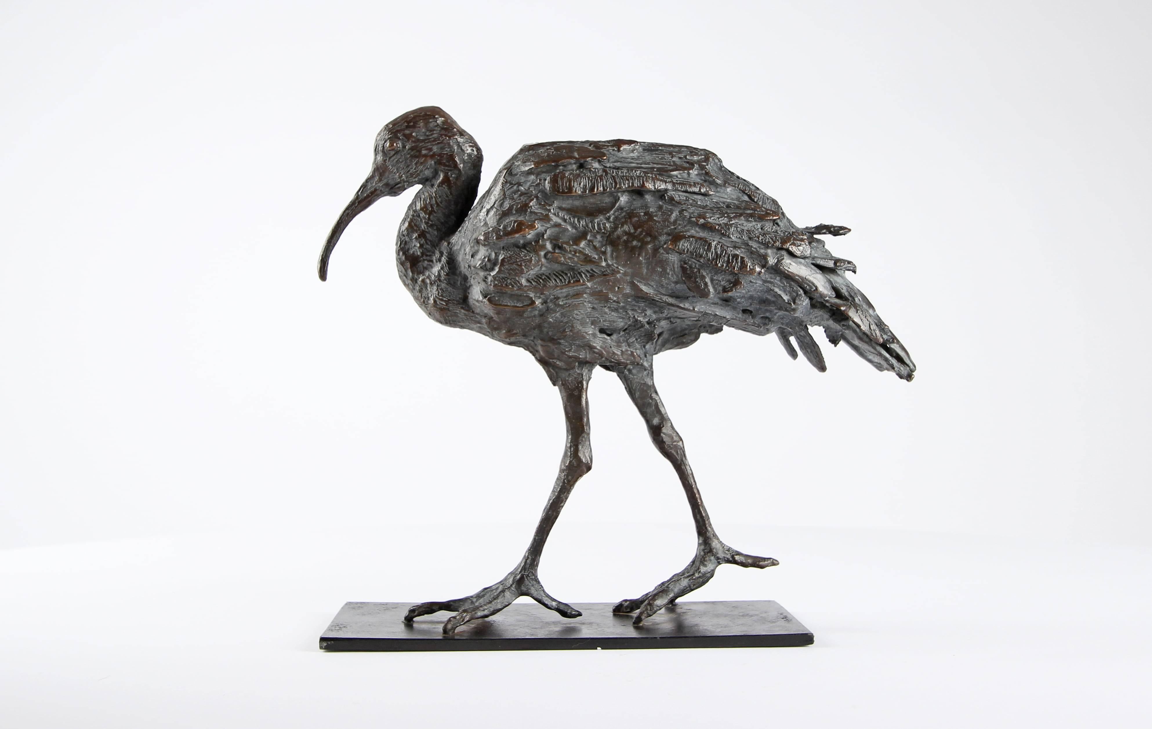 Ibis by Chésade - Bronze sculpture of a bird, contemporary, animal, sea wader For Sale 3