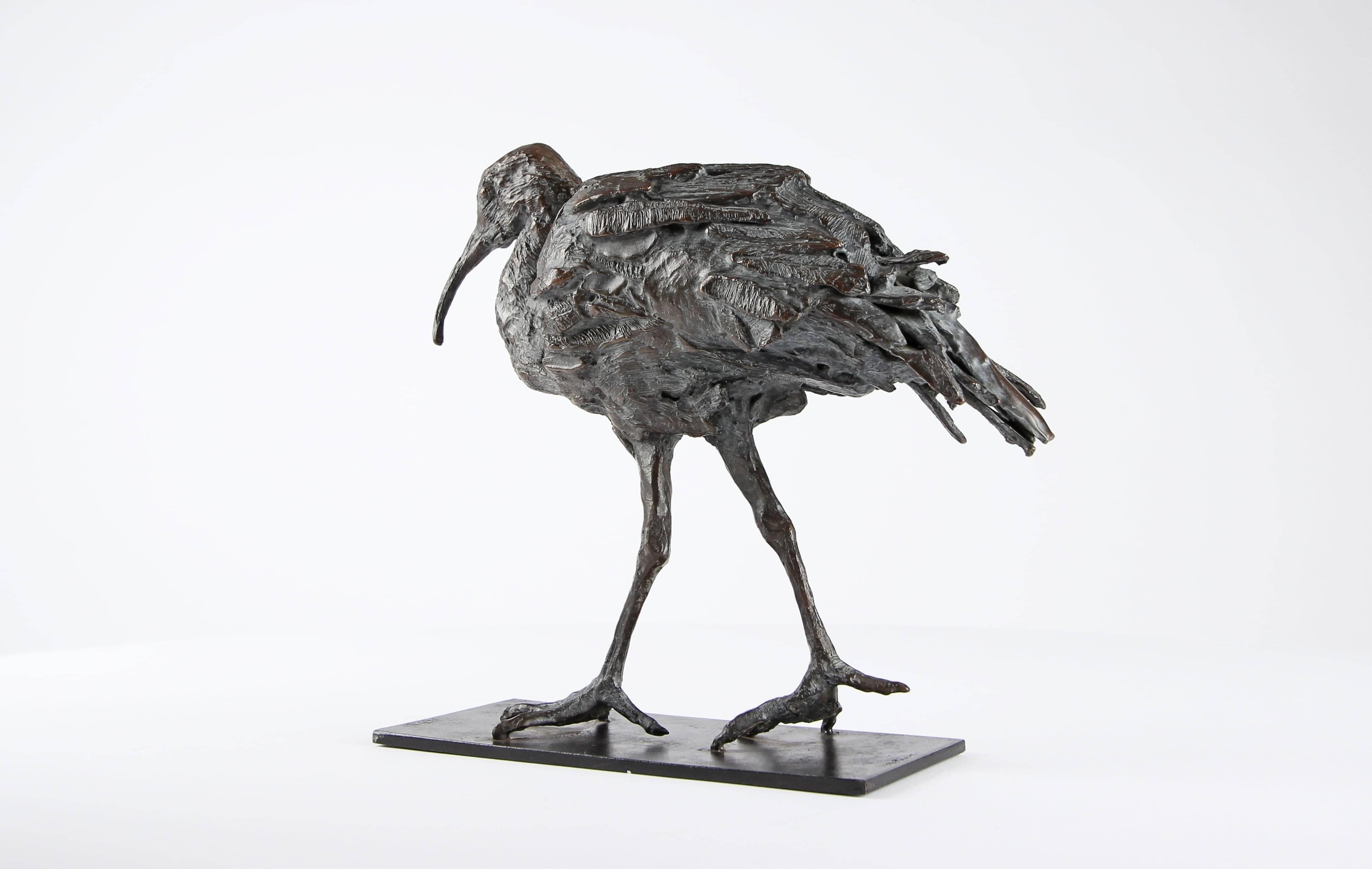 Ibis par Chésade - Sculpture en bronze d'un oiseau, contemporain, animal, échassier en vente 4