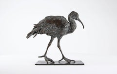Ibis by Chésade - Bronze sculpture of a bird, contemporary, animal, sea wader