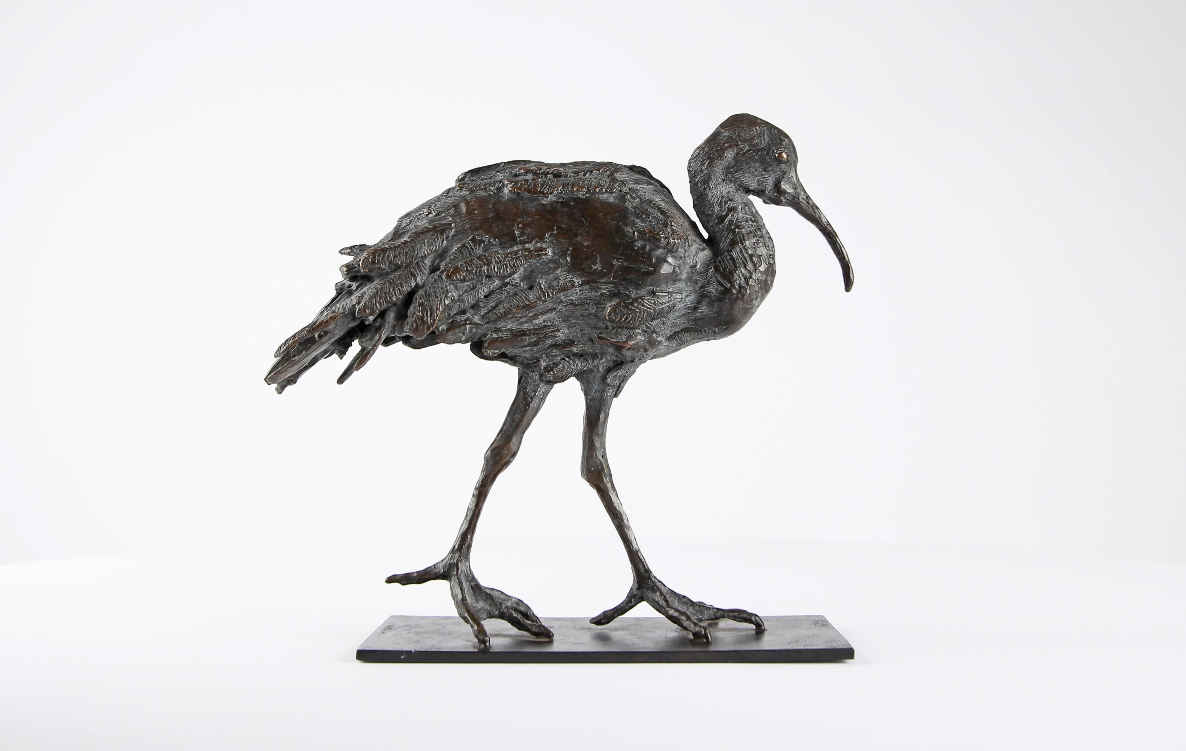 Ibis by Chésade - Bronze sculpture of a wading bird, contemporary