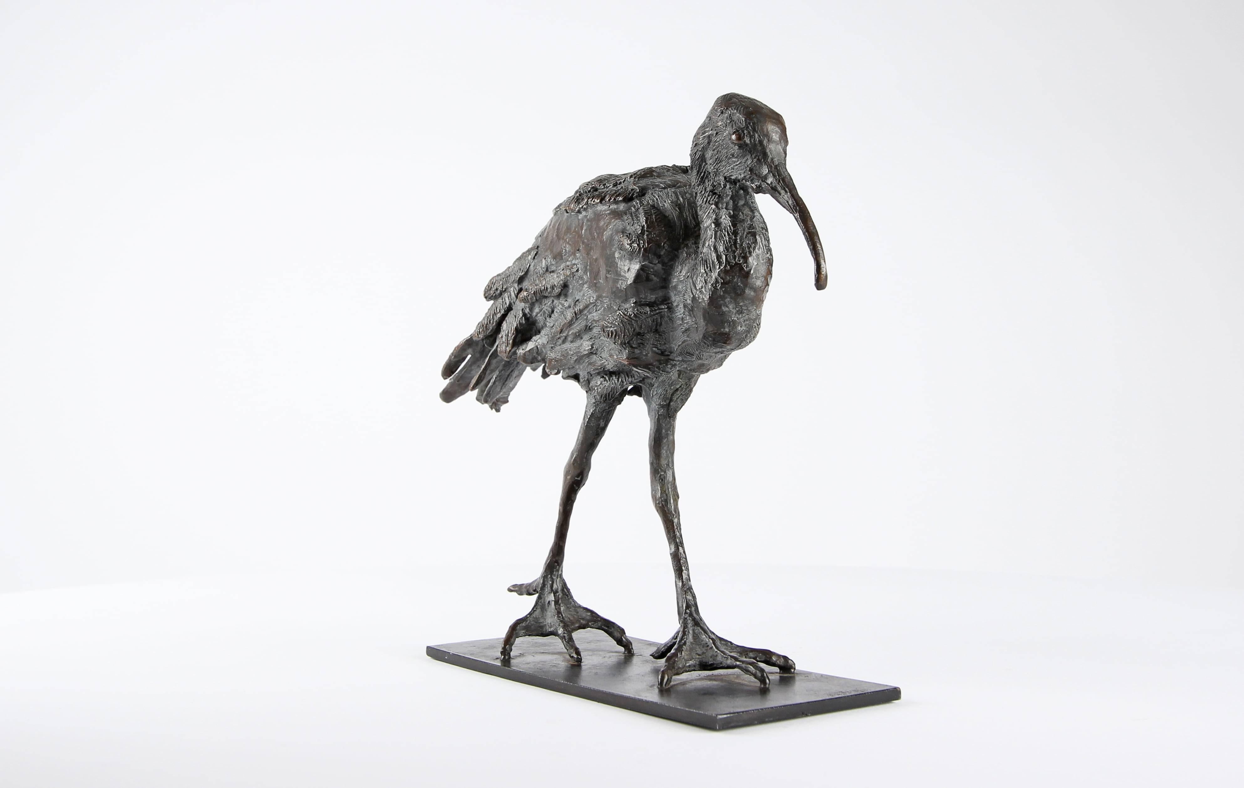 Ibis - Bronze Bird Sculpture - Gold Figurative Sculpture by Chésade