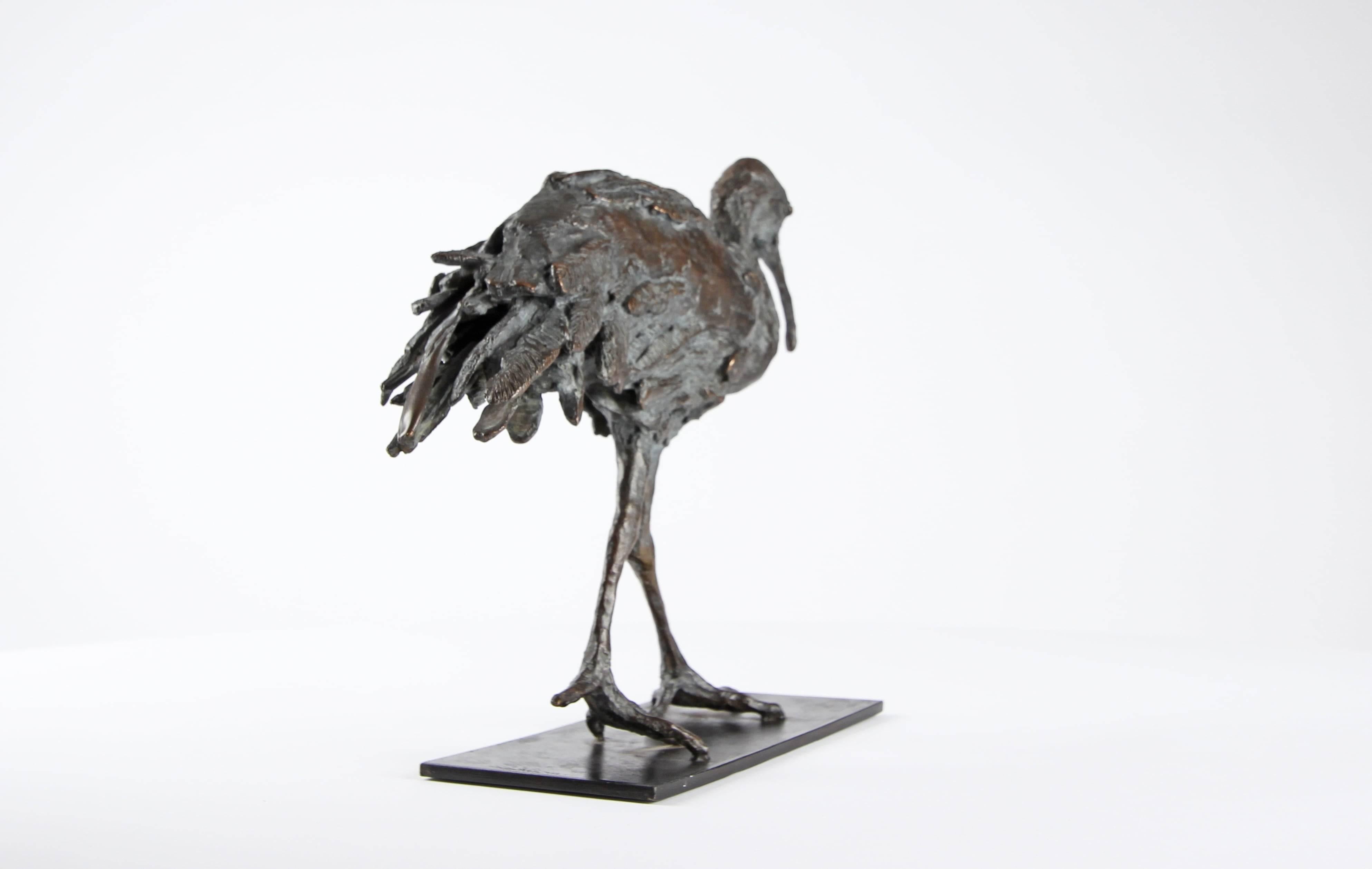 Ibis - Bronze Bird Sculpture 3