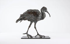 Ibis - Sculpture d'oiseau en bronze