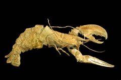 « Homard en armure » de Chésade - Sculpture en bronze, animal marin, doré