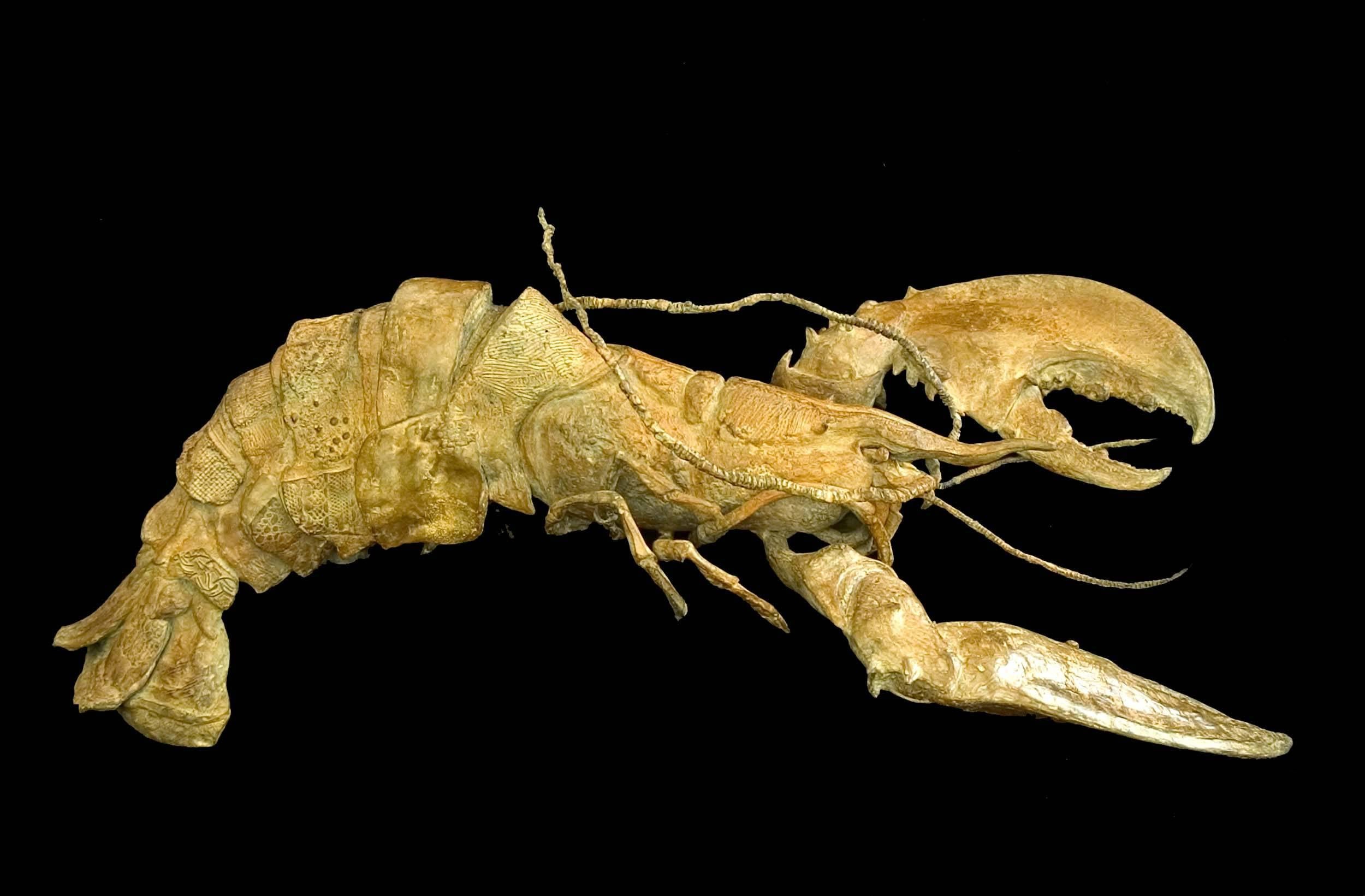 Hummer im Panzer von Chésade - Bronzeskulptur, Meeresleben, Tierkunst, realistisch im Angebot 1