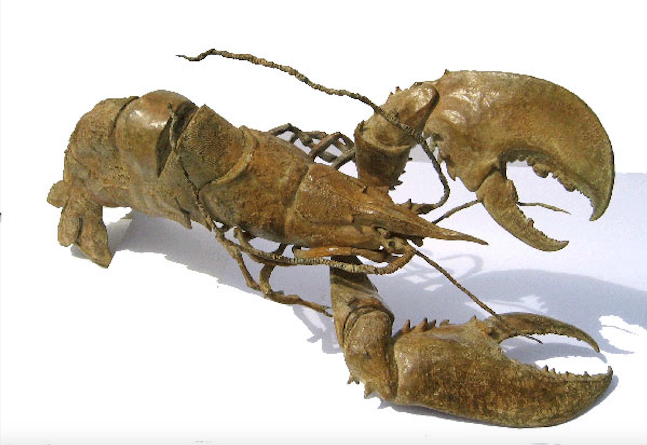 Der Hummer in Rüstung (Homard en armure) ist eine einmalige Bronzeskulptur des französischen zeitgenössischen Bildhauers Chésade. Die Künstlerin hat eine besondere Vorliebe für die Meereswelt, die zu ihrer Hauptinspirationsquelle geworden ist. Diese