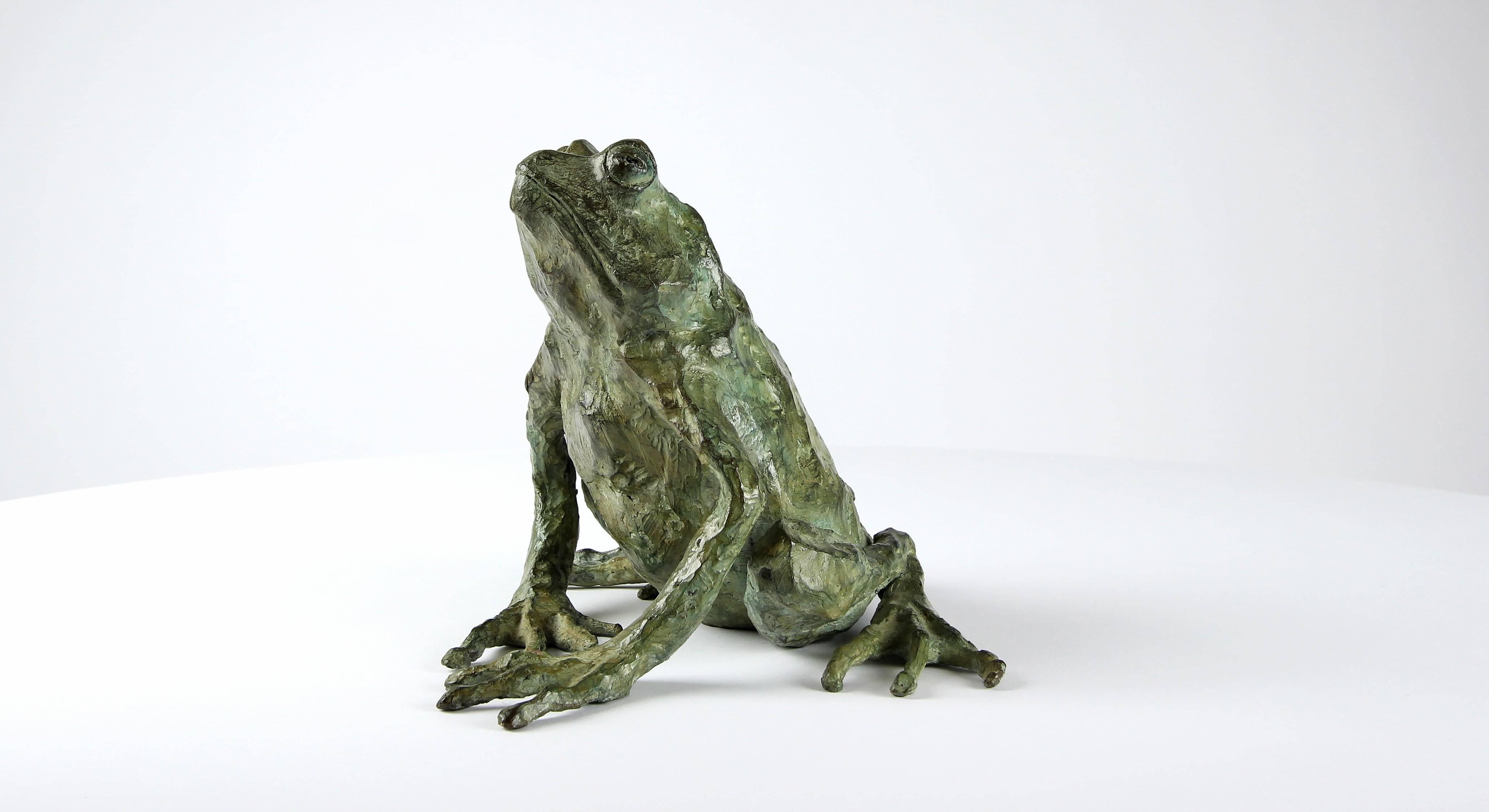 Rana mágica de Chésade - Escultura de bronce, arte animal, expresionismo, realismo en venta 1