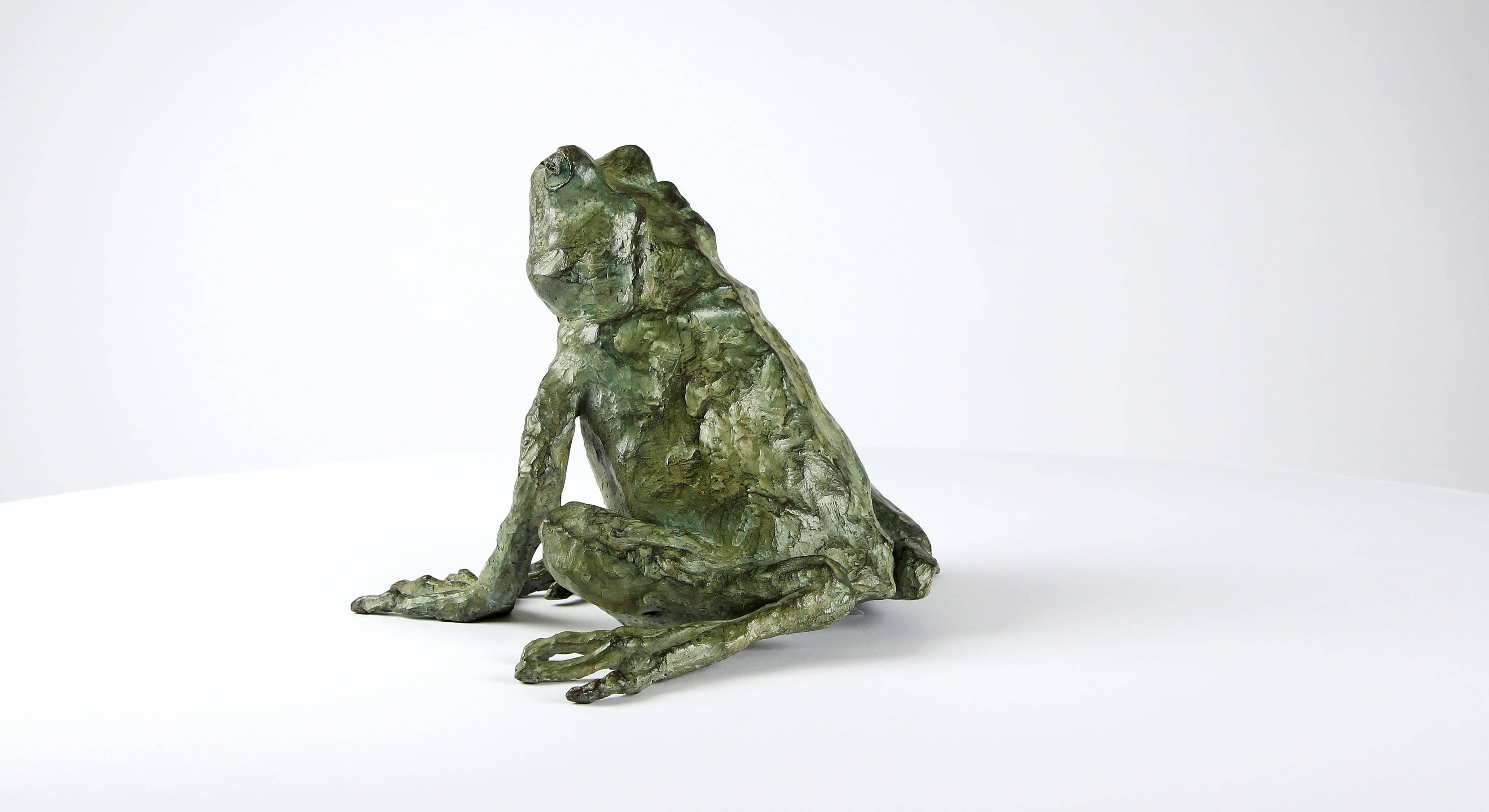 Rana mágica de Chésade - Escultura de bronce, arte animal, expresionismo, realismo en venta 2