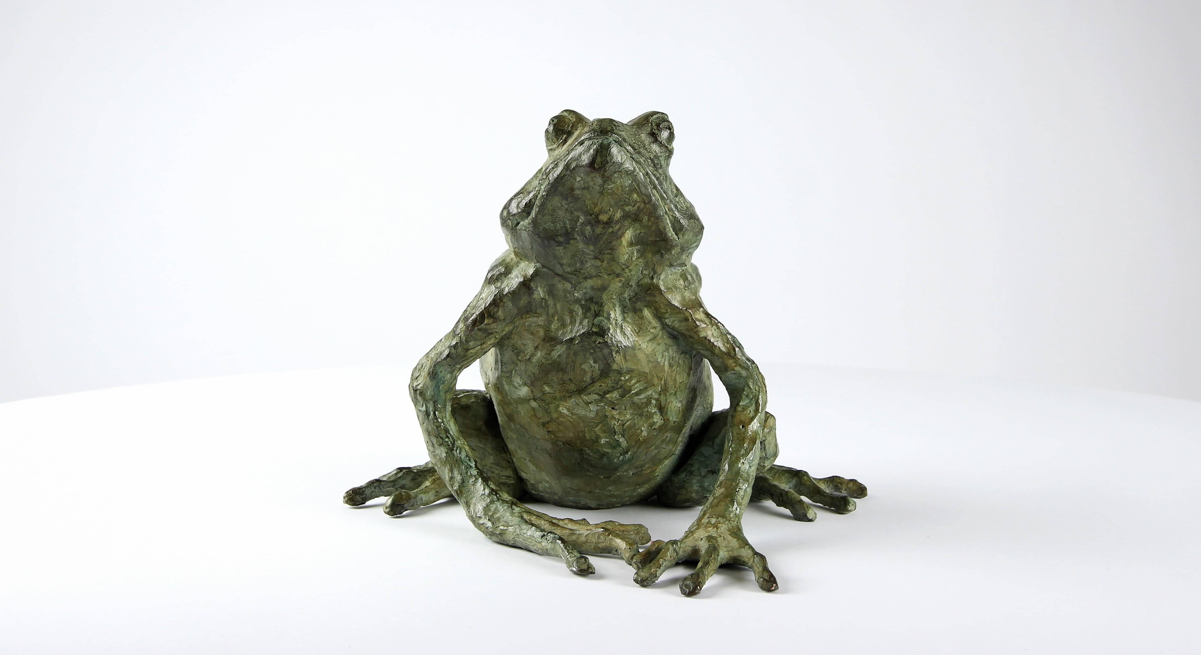 Rana mágica de Chésade - Escultura de bronce, arte animal, expresionismo, realismo en venta 4
