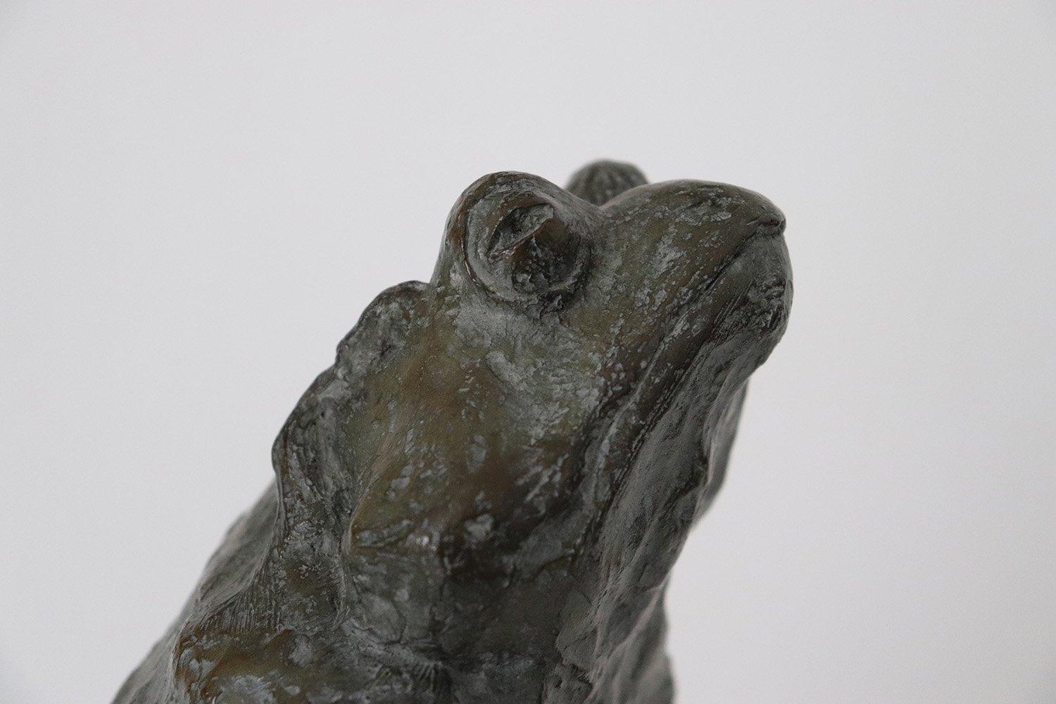 Rana mágica de Chésade - Escultura de bronce, arte animal, expresionismo, realismo en venta 6