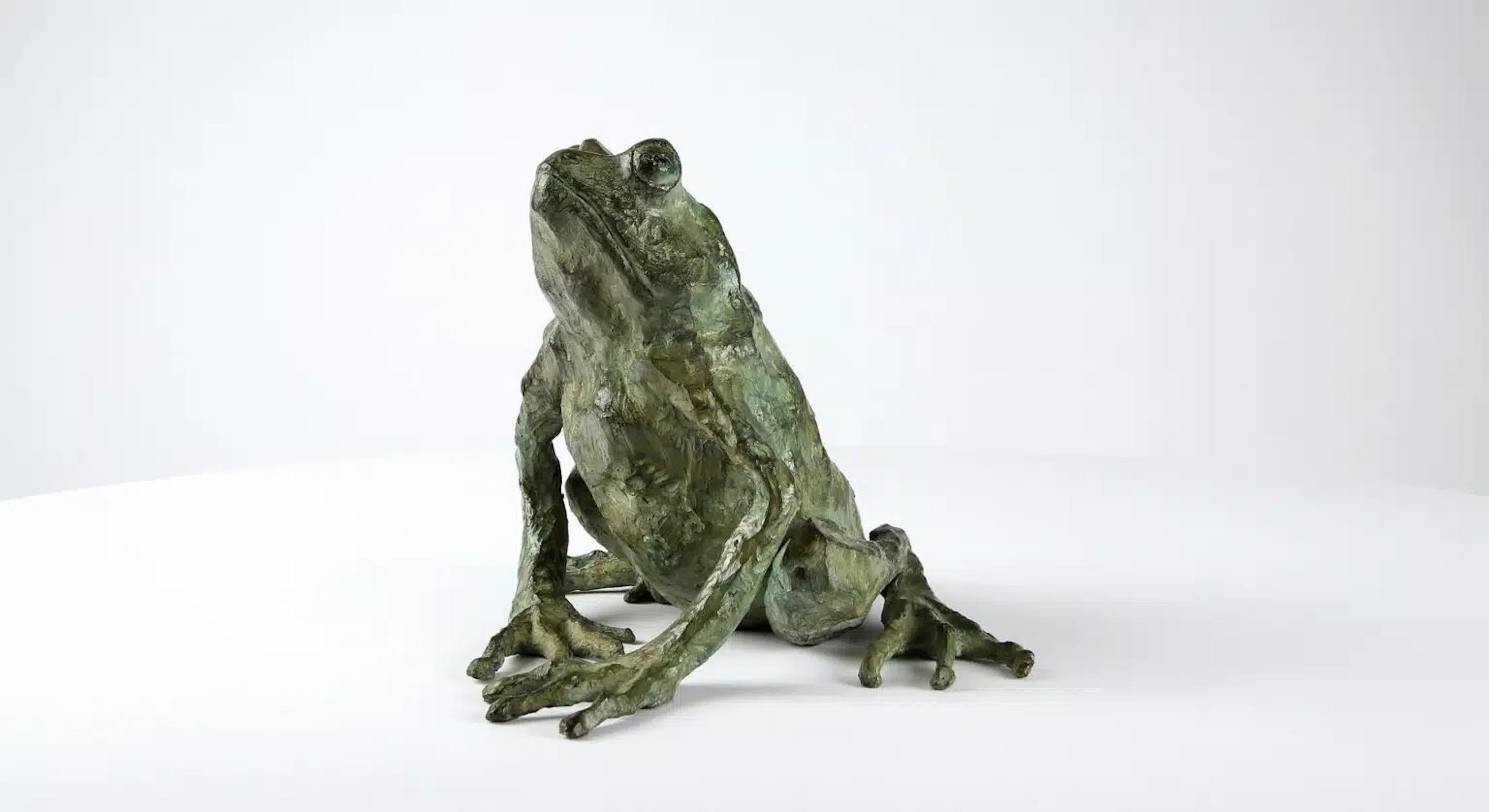 Rana magica di Chésade - Scultura in bronzo, arte animale, figurativa, realismo