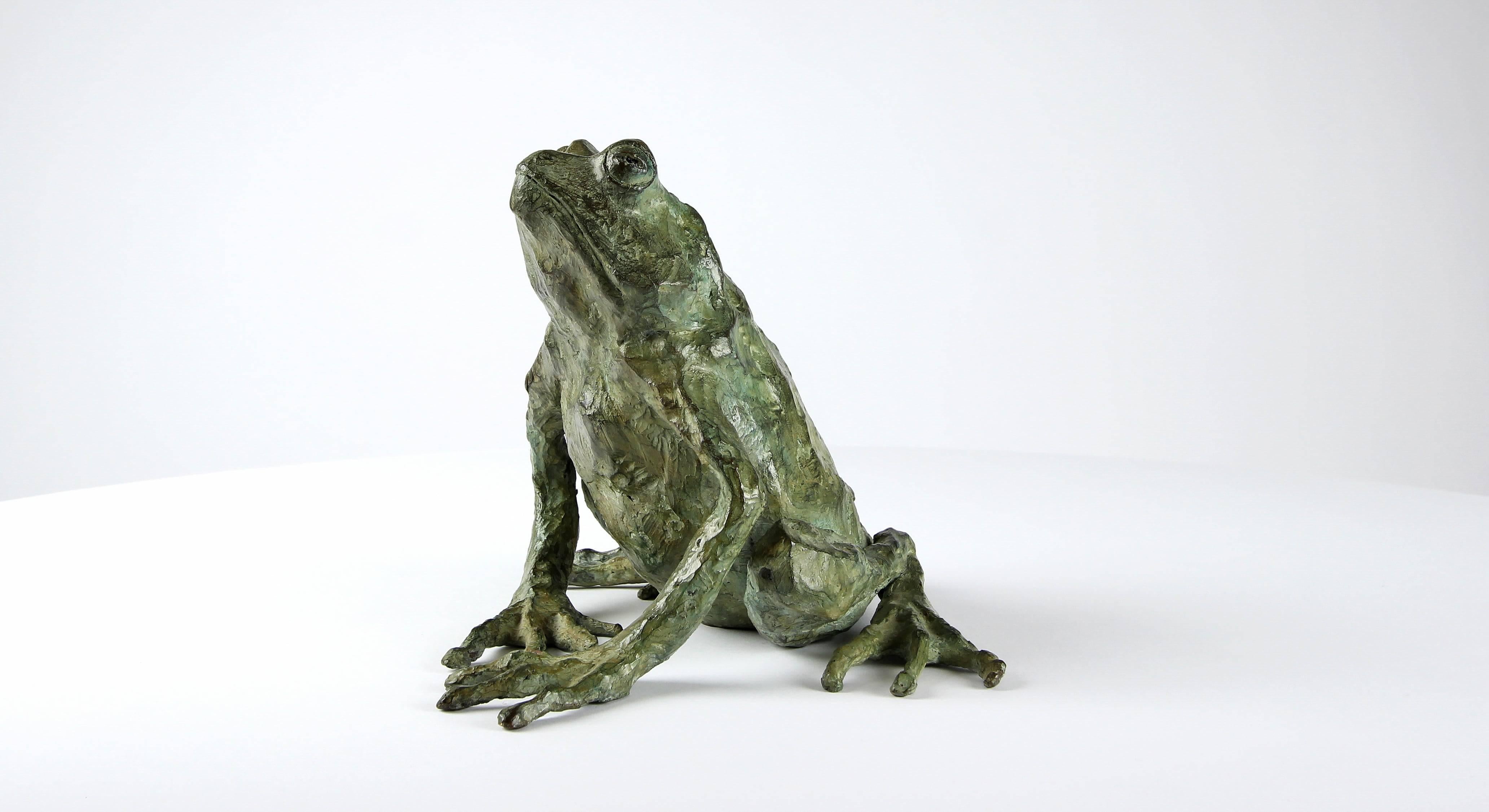 a tiny bronze frog