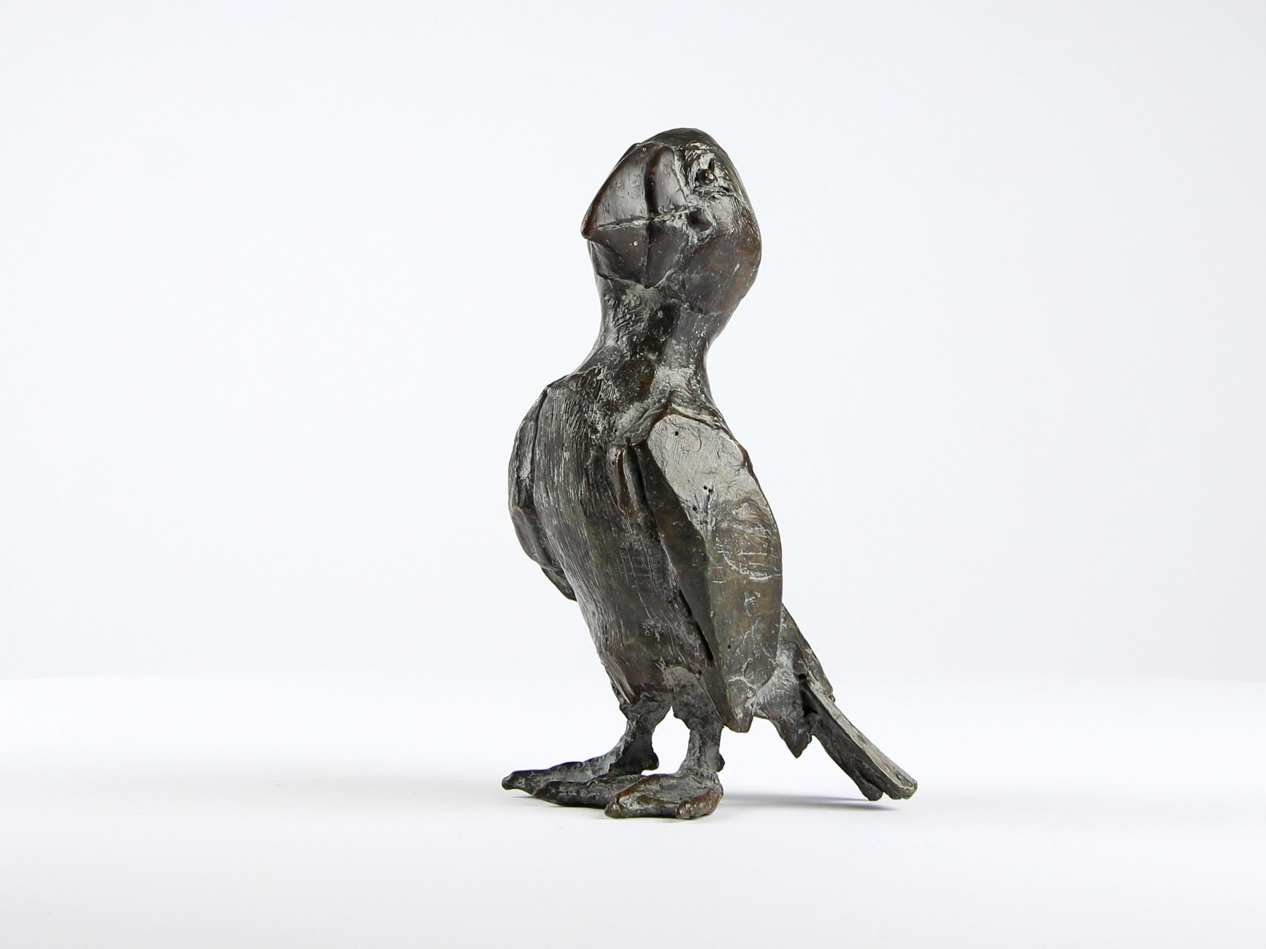 Puffin by Chésade - Bronze sculpture of a sea bird, contemporary
