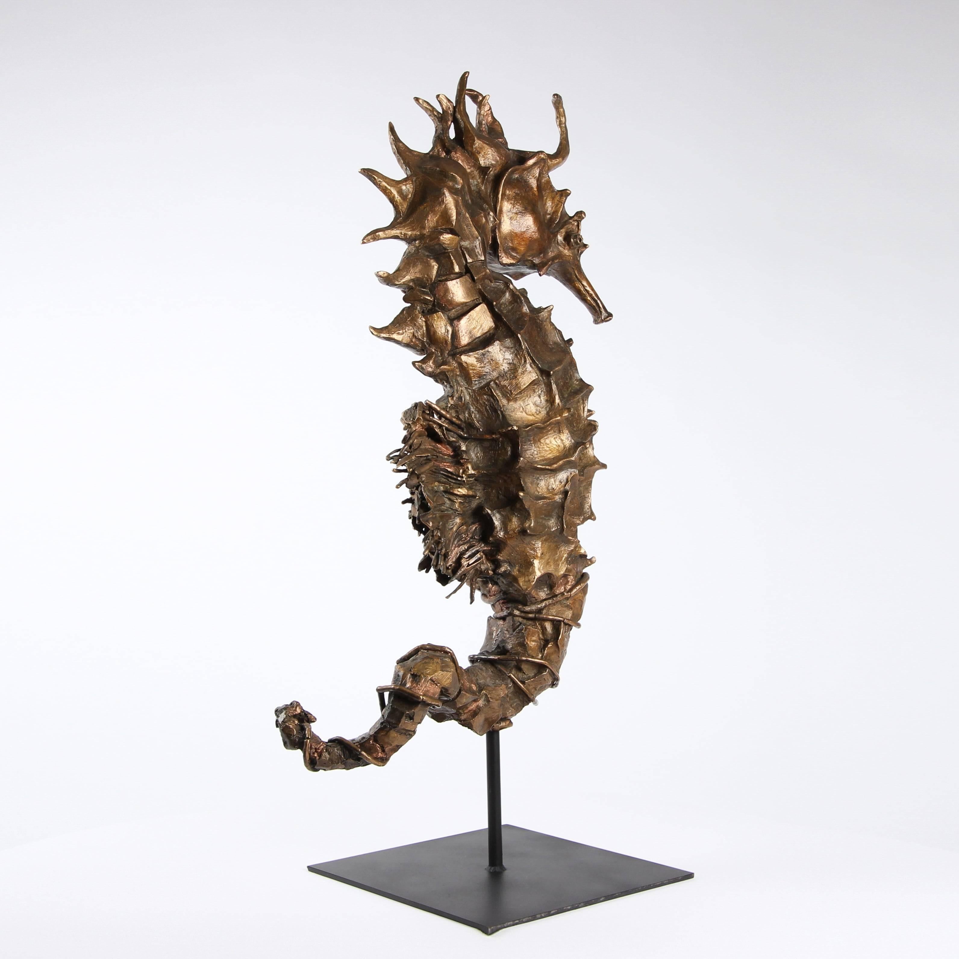 Hippocampe Rex Gold de Chésade - Sculpture en bronze animalier, animal de mer en vente 5