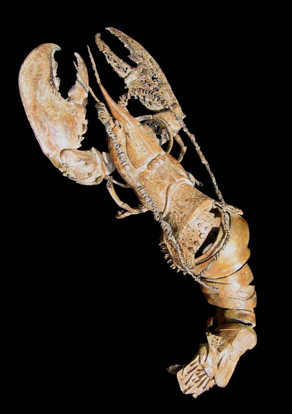 La bella langosta by Chésade - Escultura de bronce de vida marina, animal, realista en venta 3