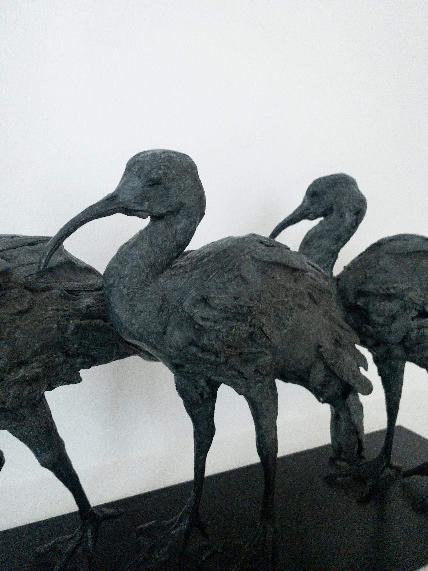Tre Ibis di Chésade - Scultura animale in bronzo, uccelli in vendita 9