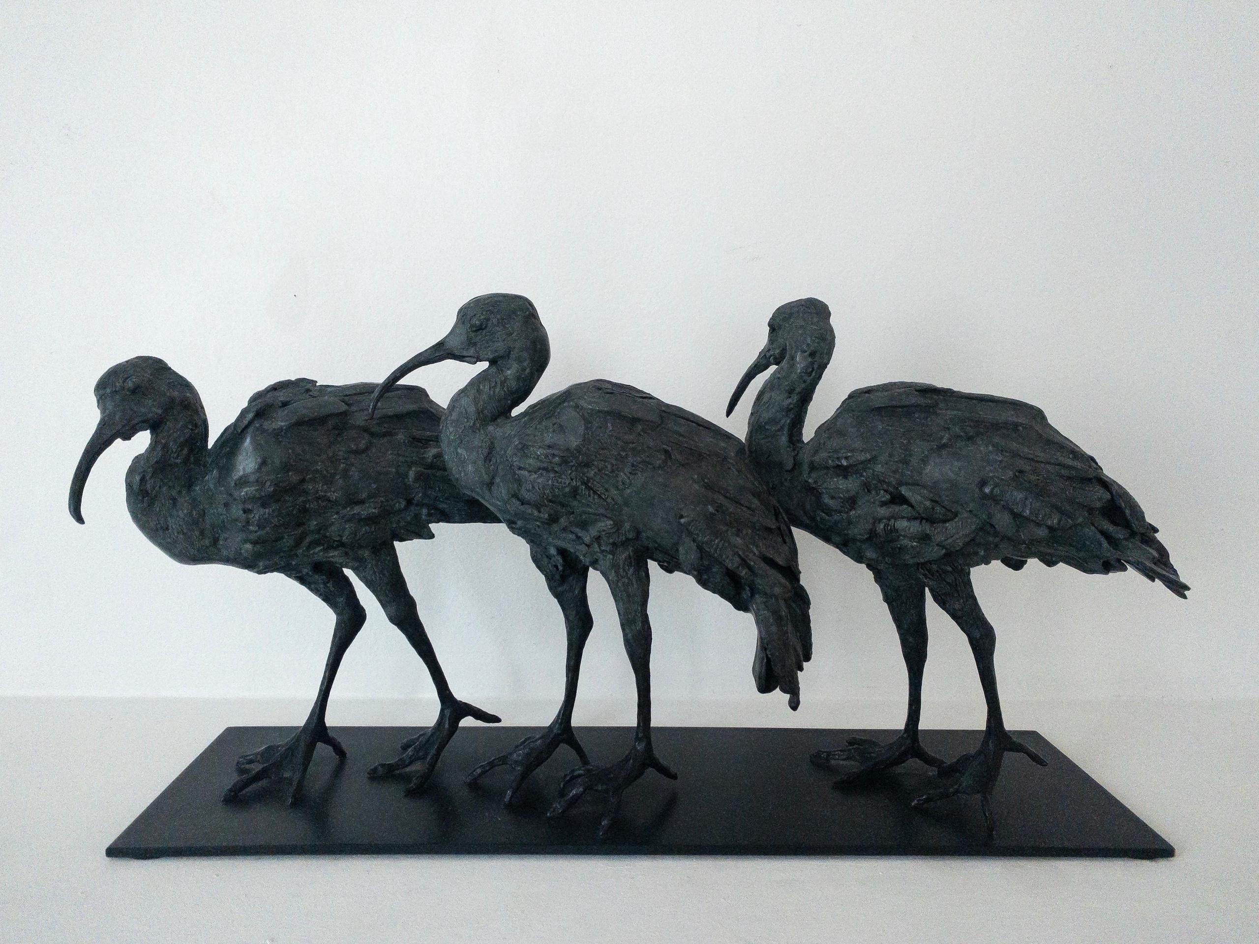 Tre Ibis di Chésade - Scultura animale in bronzo, uccelli in vendita 2