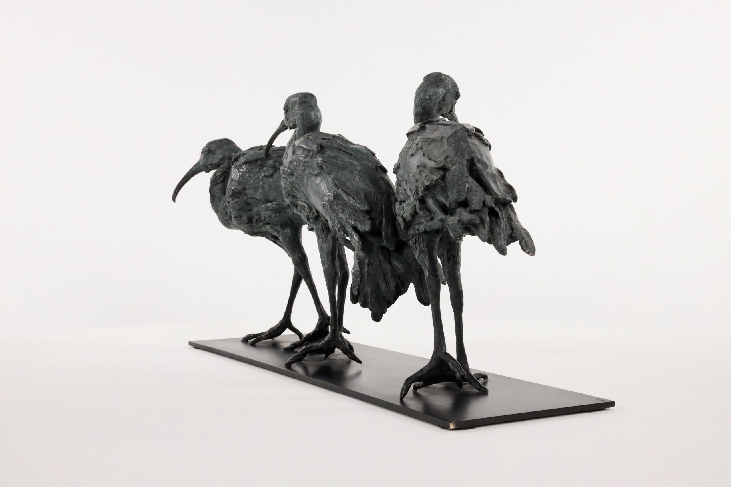 Tre Ibis di Chésade - Scultura animale in bronzo, uccelli in vendita 3
