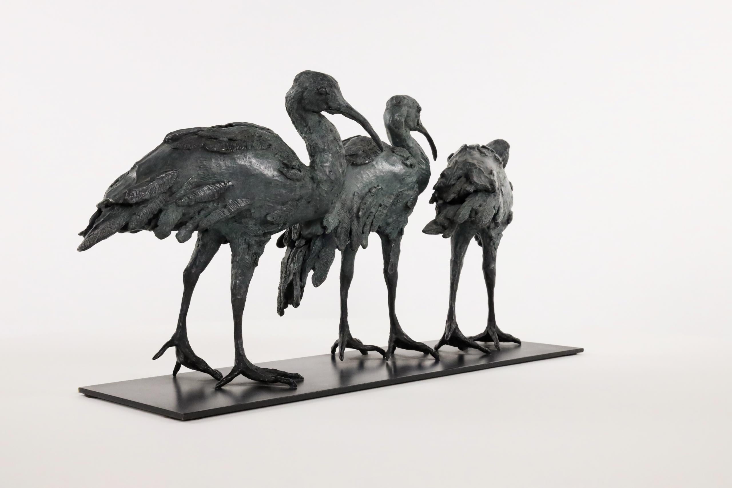 Tre Ibis di Chésade - Scultura animale in bronzo, uccelli in vendita 4